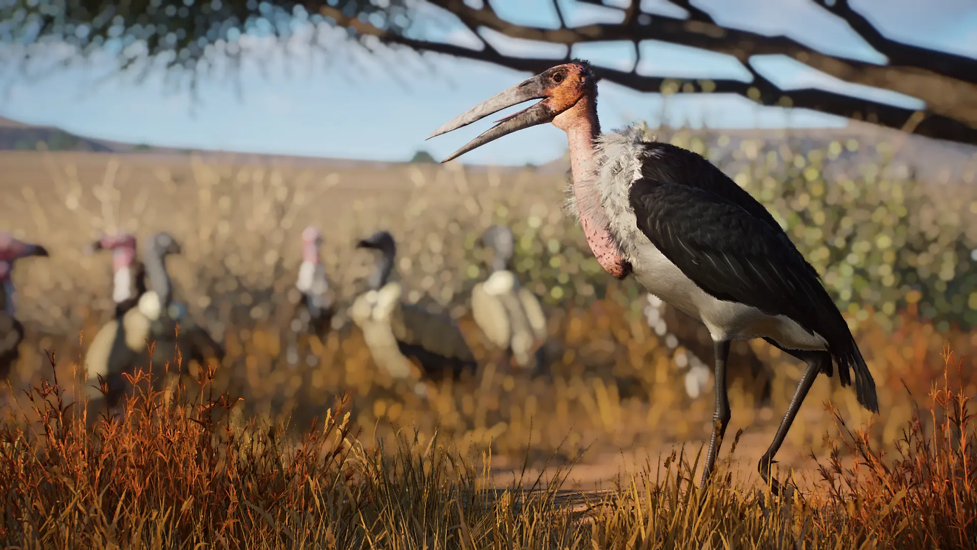 Marabou Stork - New Species (1.16) at Planet Zoo Nexus - Mods and community