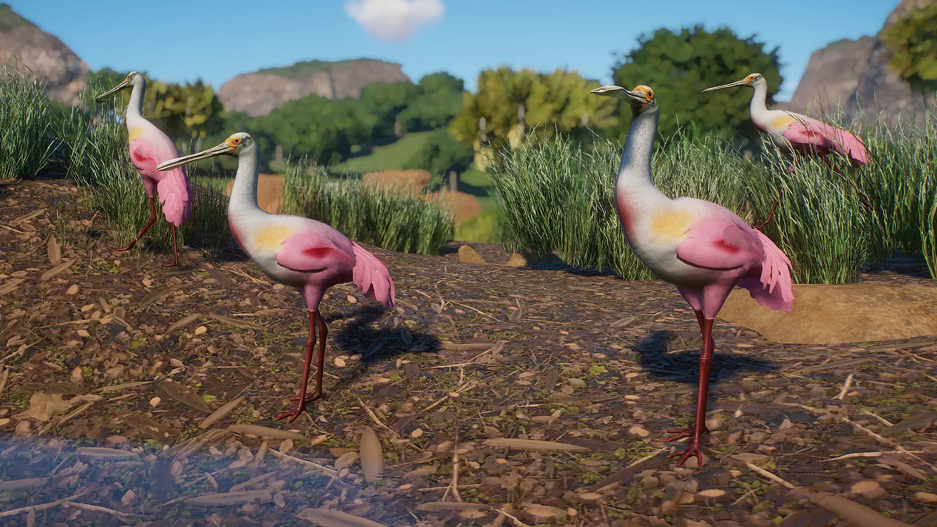 Roseate Spoonbill - New Species (1.16) at Planet Zoo Nexus - Mods and ...