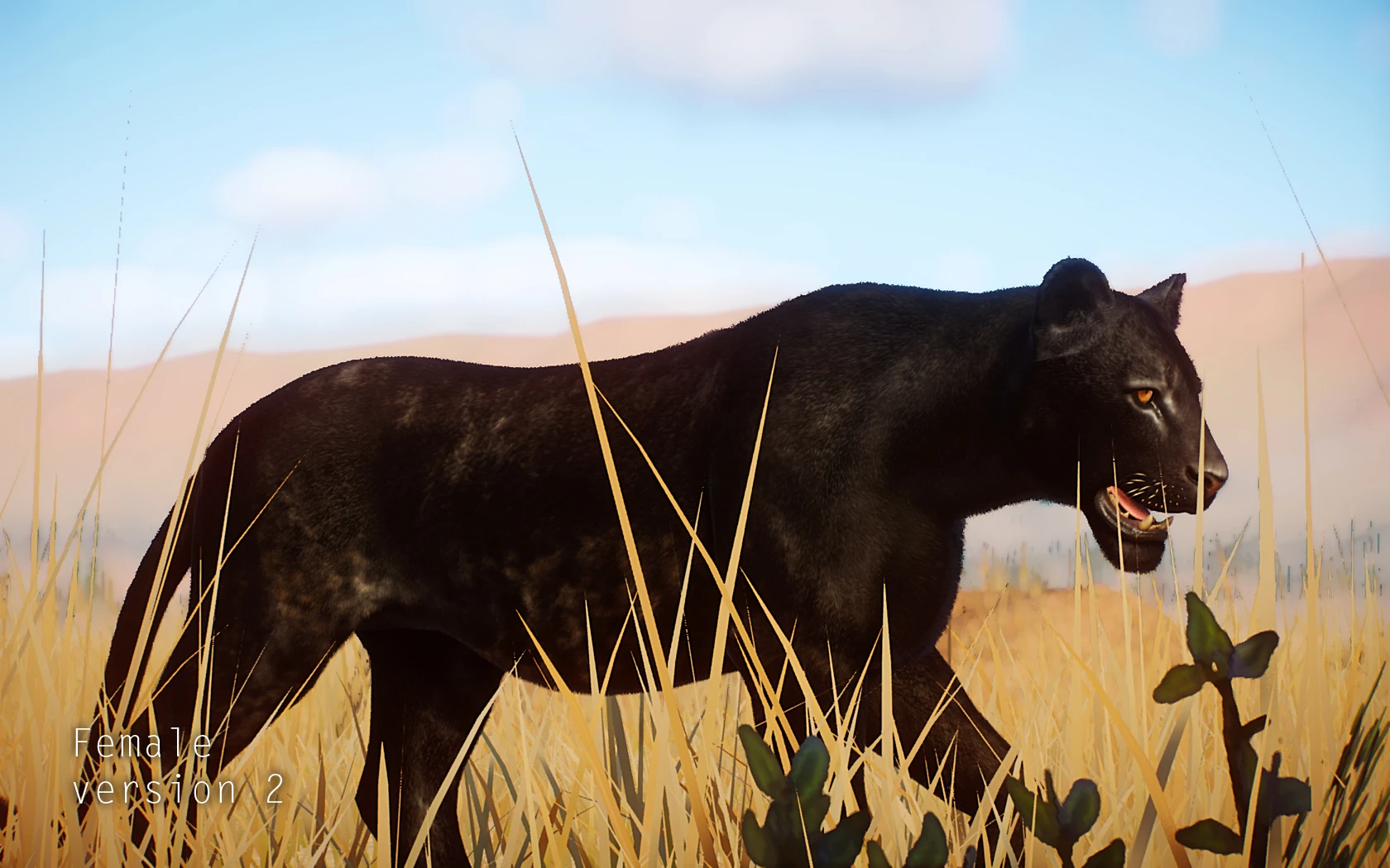 Melanistic Lion At Planet Zoo Nexus Mods And Community