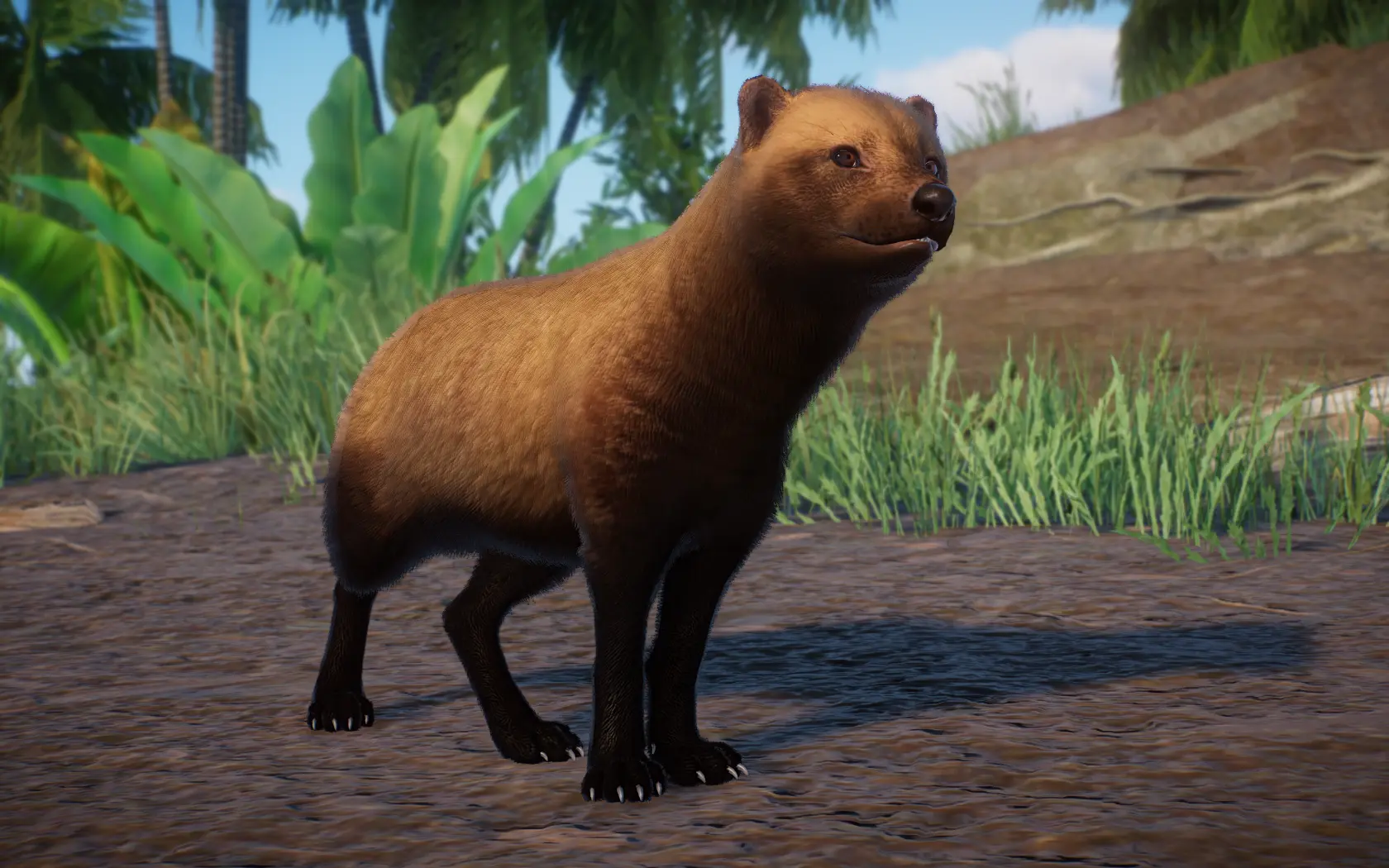 Bush Dog - New Species (1.15) at Planet Zoo Nexus - Mods and community