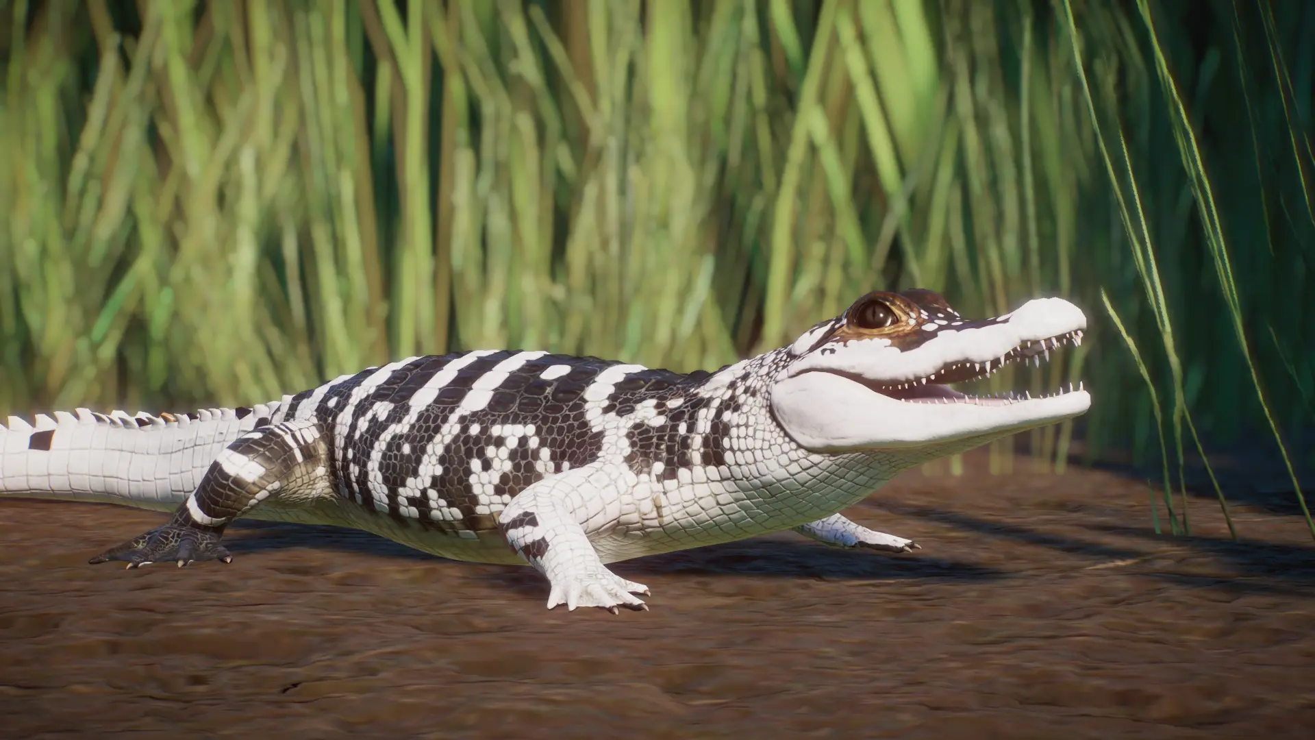 (1.11) Alligator Morph Pack (DISCONTINUED) at Planet Zoo Nexus - Mods ...