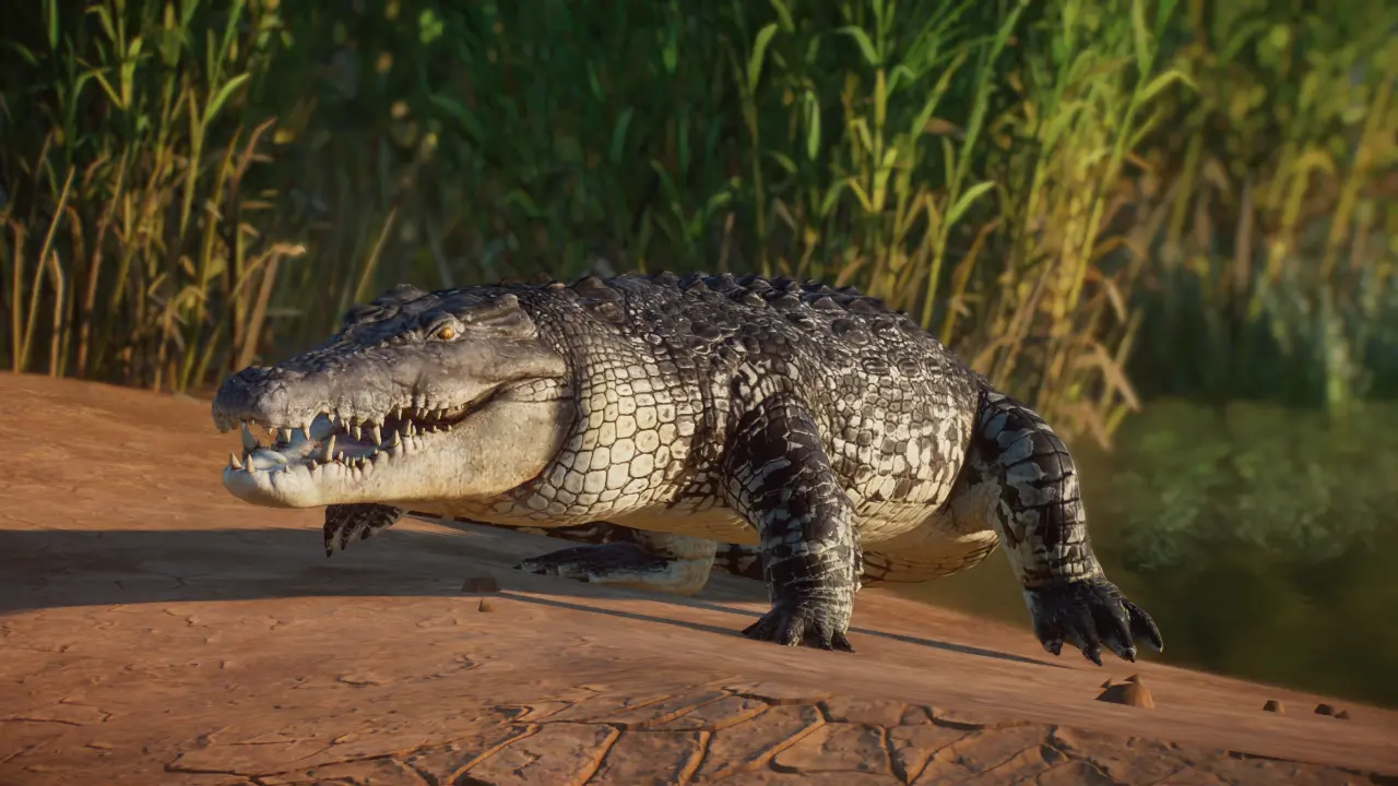 Saltwater Crocodile Remaster And New Variant (1.15) At Planet Zoo Nexus ...