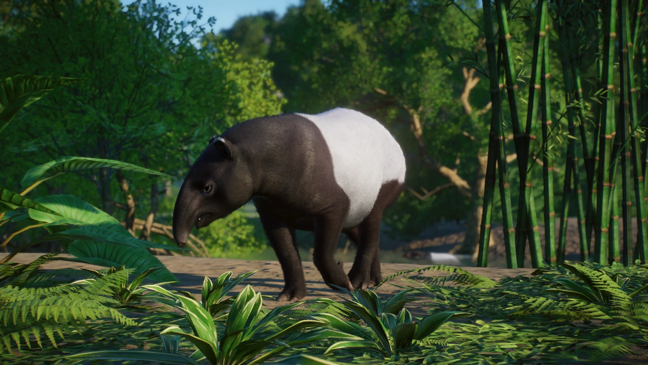 Narwhaler's Malayan Tapir Remaster (1.10) at Planet Zoo Nexus - Mods ...