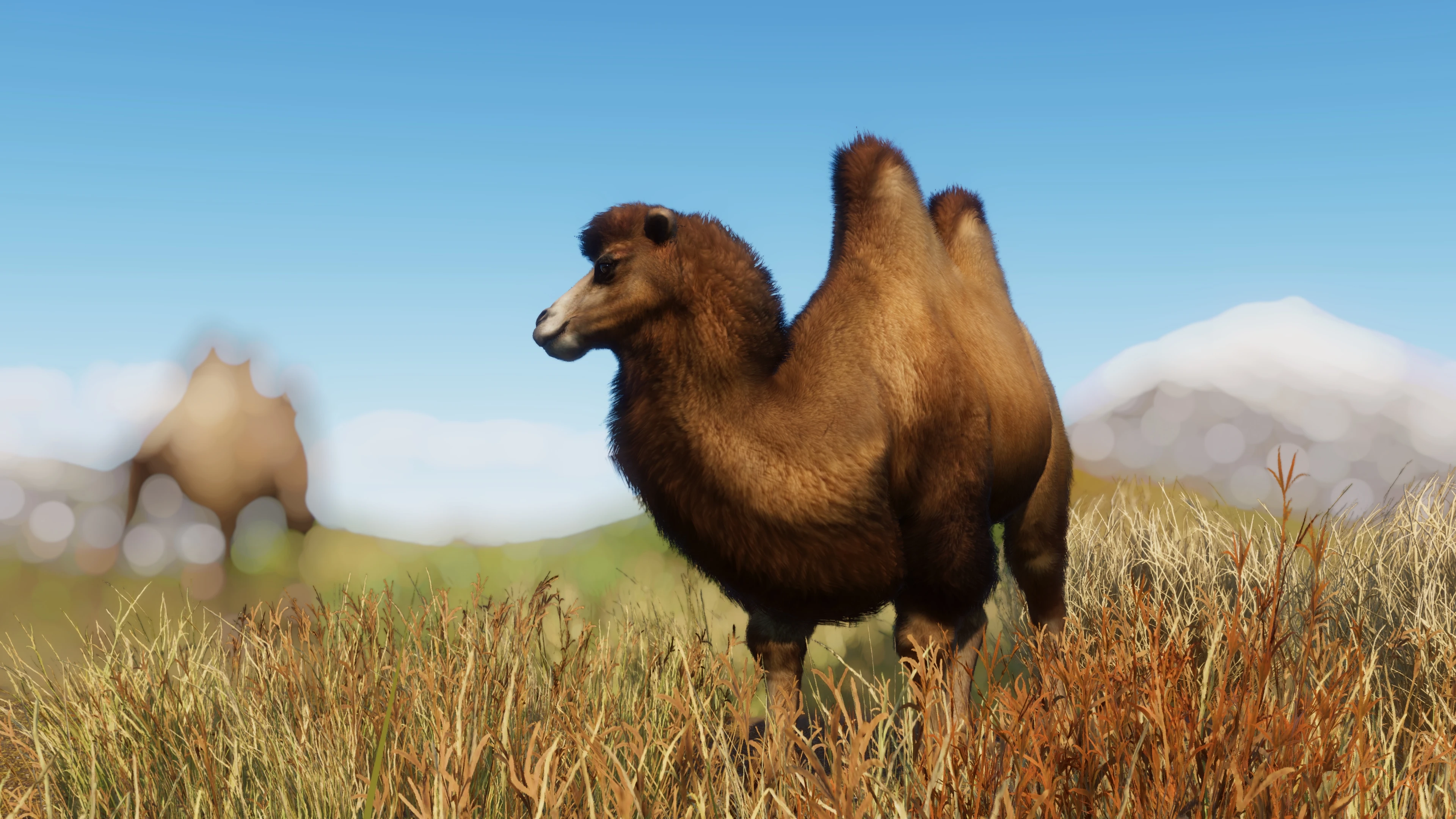 Narwhaler's Bactrian Camel Remaster (1.15) at Planet Zoo Nexus - Mods ...