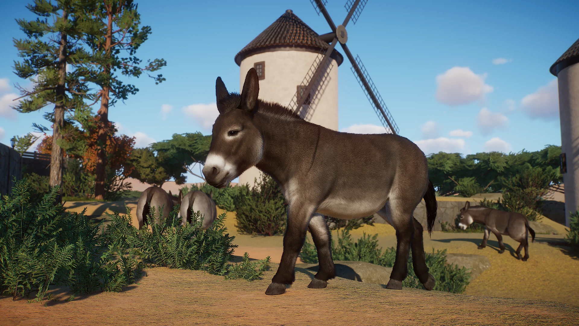 North American Standard Donkey - New Species (1.10) at Planet Zoo Nexus ...