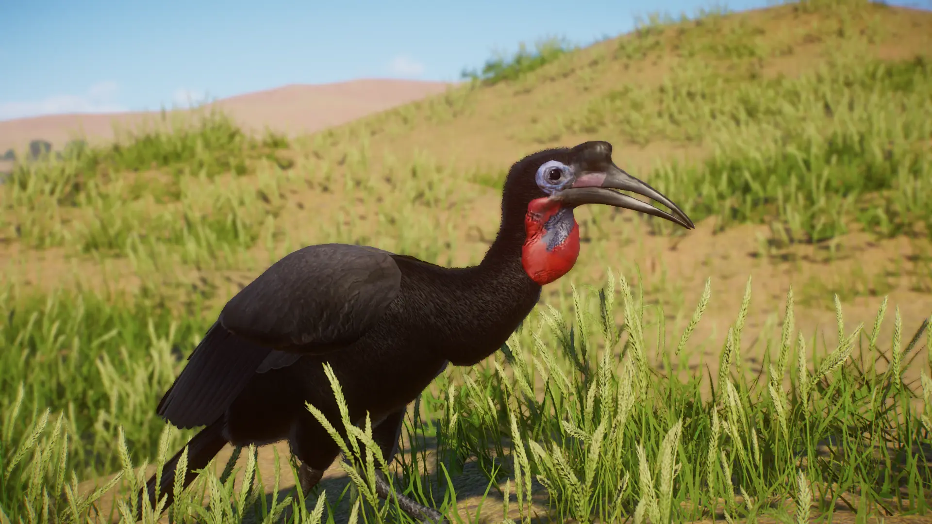 Abyssinian Ground Hornbill - New Species (1.13) at Planet Zoo Nexus ...