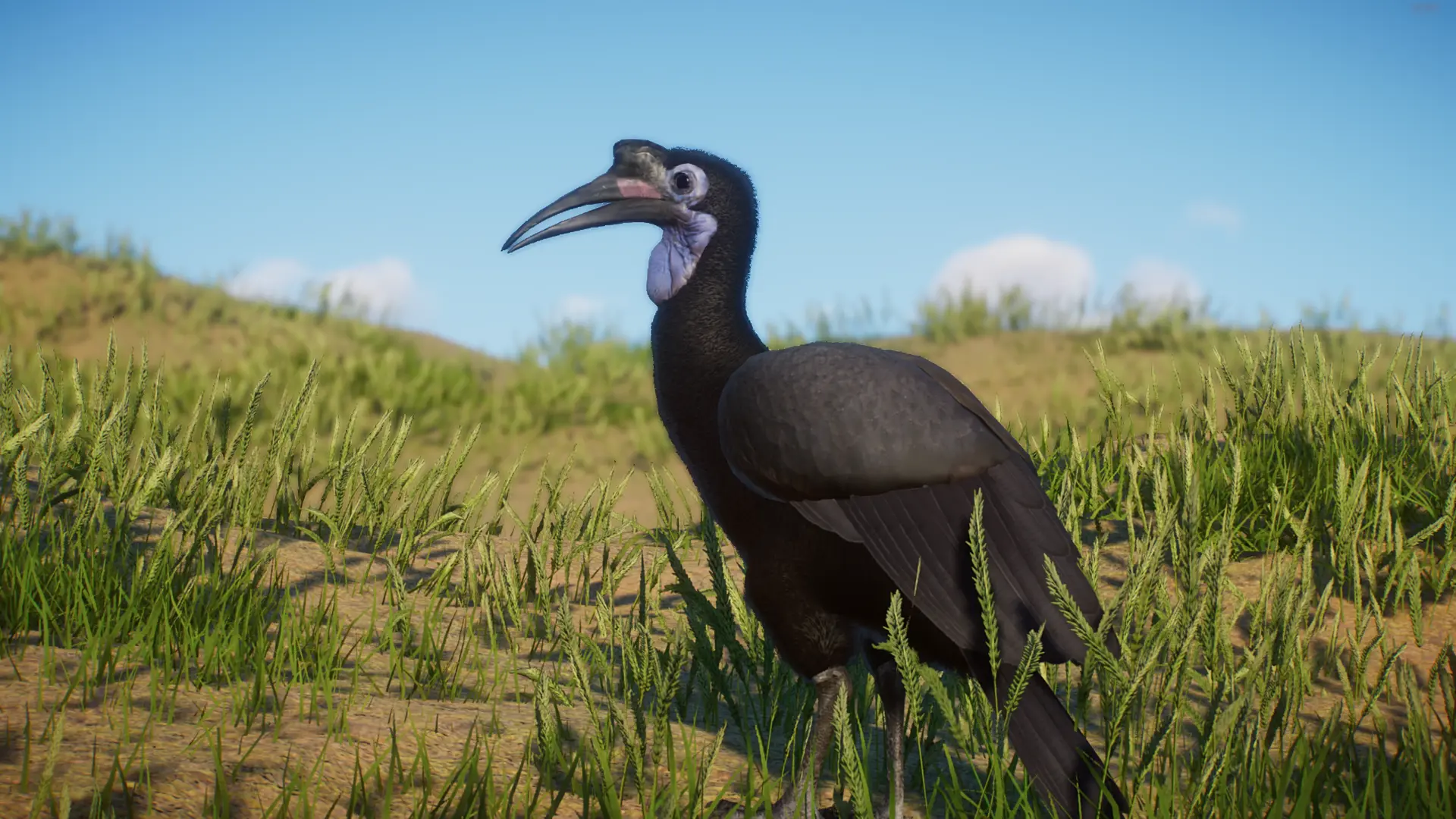 Abyssinian Ground Hornbill - New Species (1.13) at Planet Zoo Nexus ...