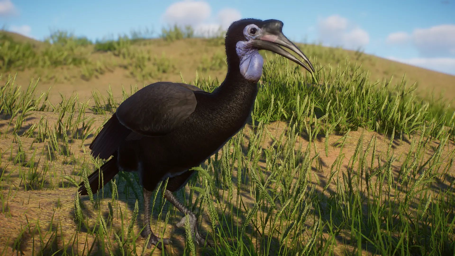 Abyssinian Ground Hornbill - New Species (1.13) at Planet Zoo Nexus ...