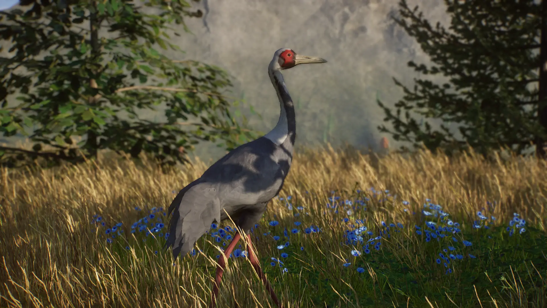 White-Naped Crane - New Species (1.13) at Planet Zoo Nexus - Mods and ...