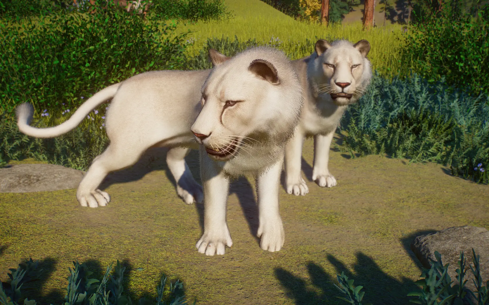 Steppe Lion (Cave Lion) - Extinct New Species (1.15) at Planet Zoo ...