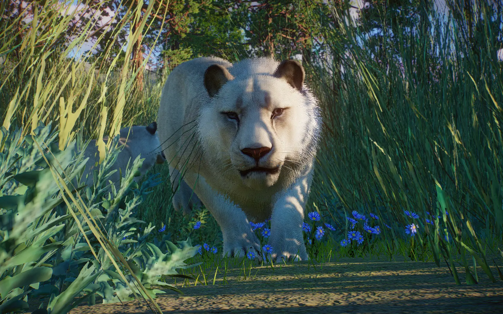 Steppe Lion (Cave Lion) - Extinct New Species (1.15) at Planet Zoo ...