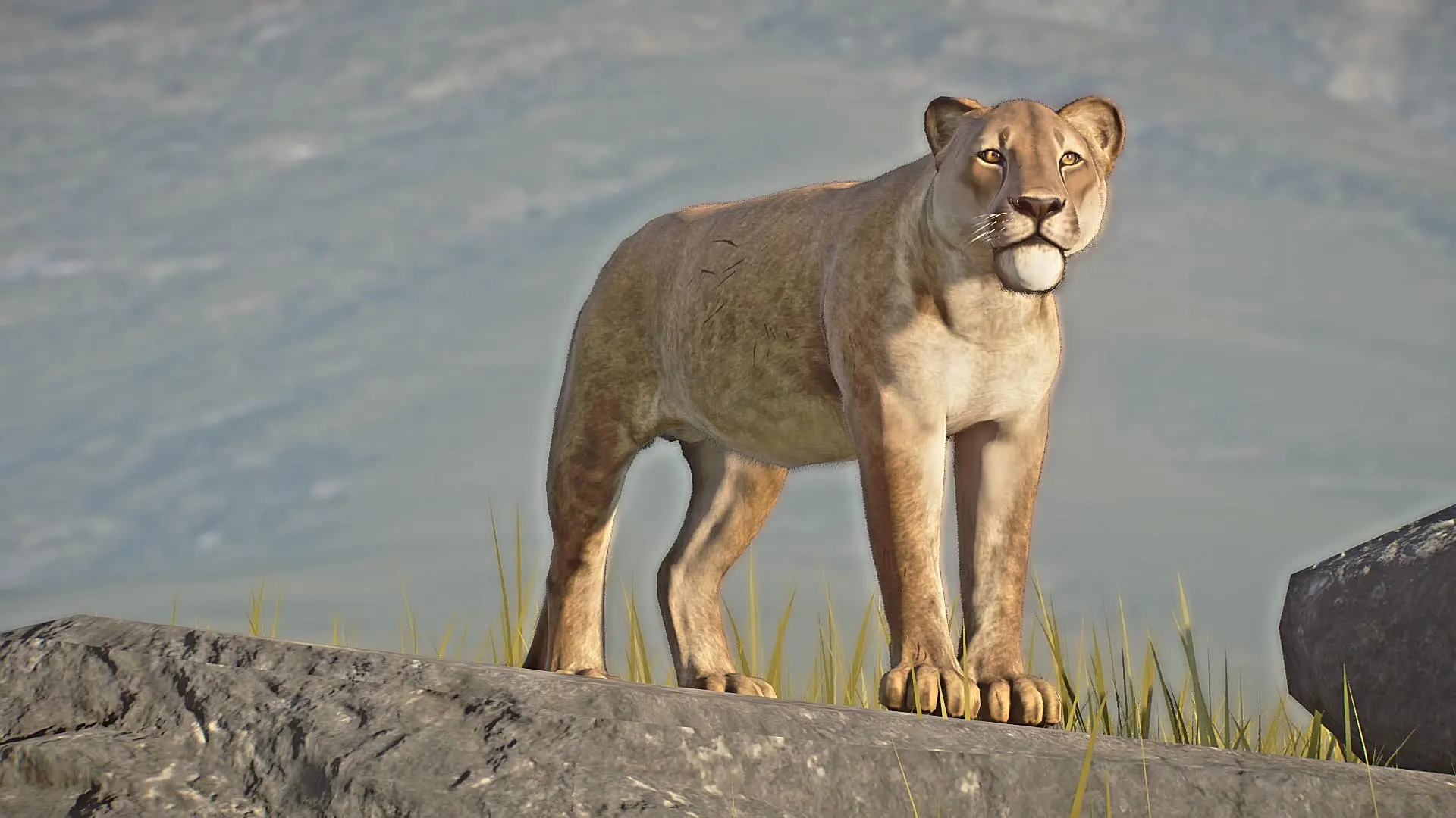 American Lion - Extinct New Species (1.15) at Planet Zoo Nexus - Mods ...