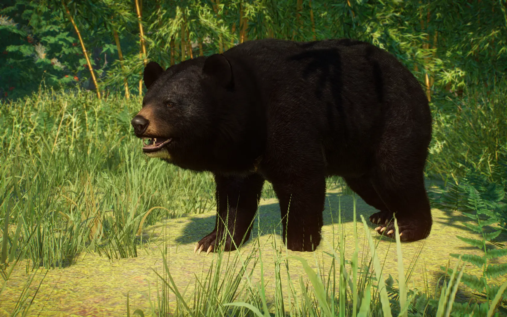 Formosan Black Bear Remaster (1.16) at Planet Zoo Nexus - Mods and ...