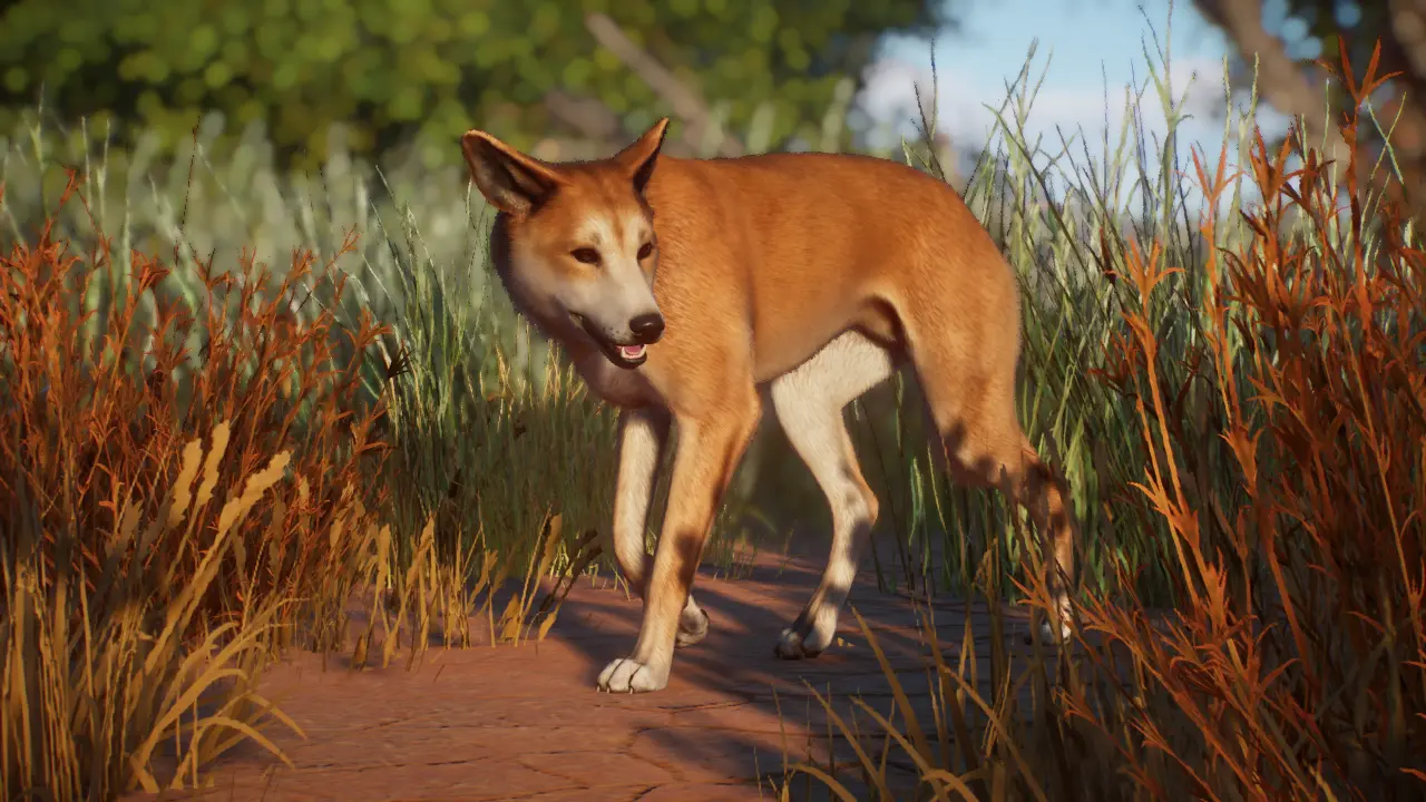 Dingo Remaster and New Variants (1.16) at Planet Zoo Nexus - Mods and ...