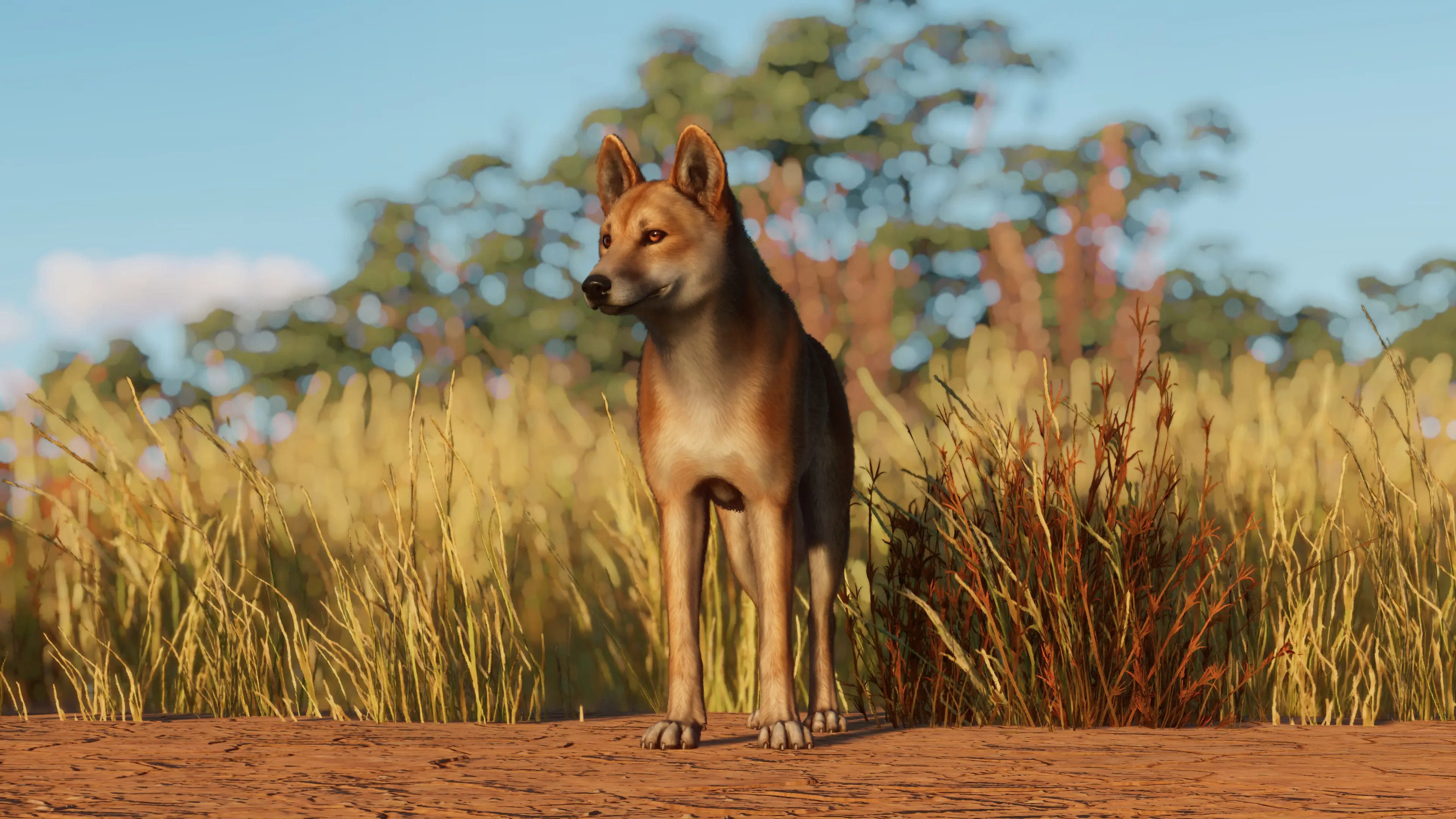 Dingo Remaster And New Variants (1.16) At Planet Zoo Nexus - Mods And 