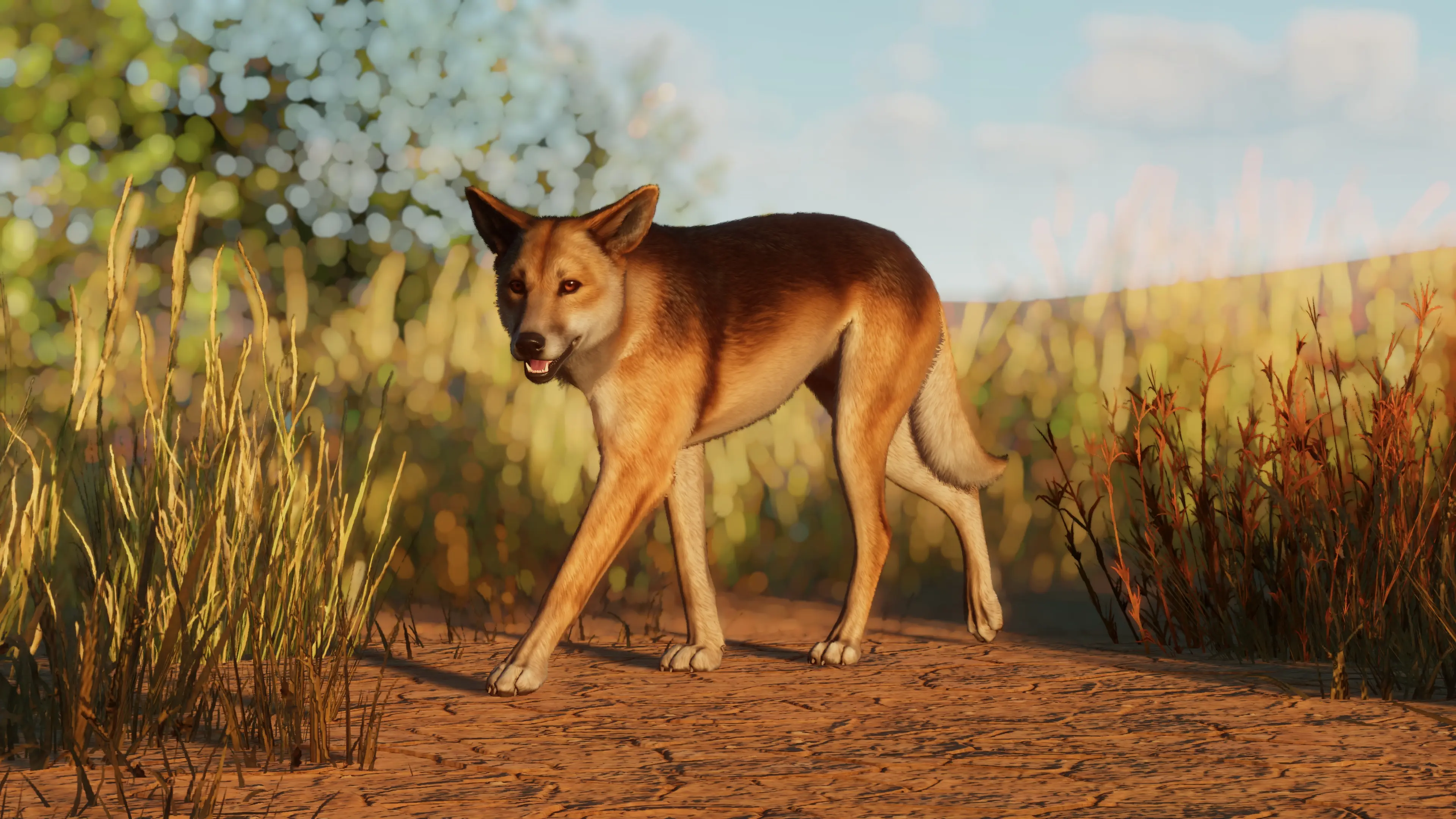 Dingo Remaster and New Variants (1.16) at Planet Zoo Nexus - Mods and ...