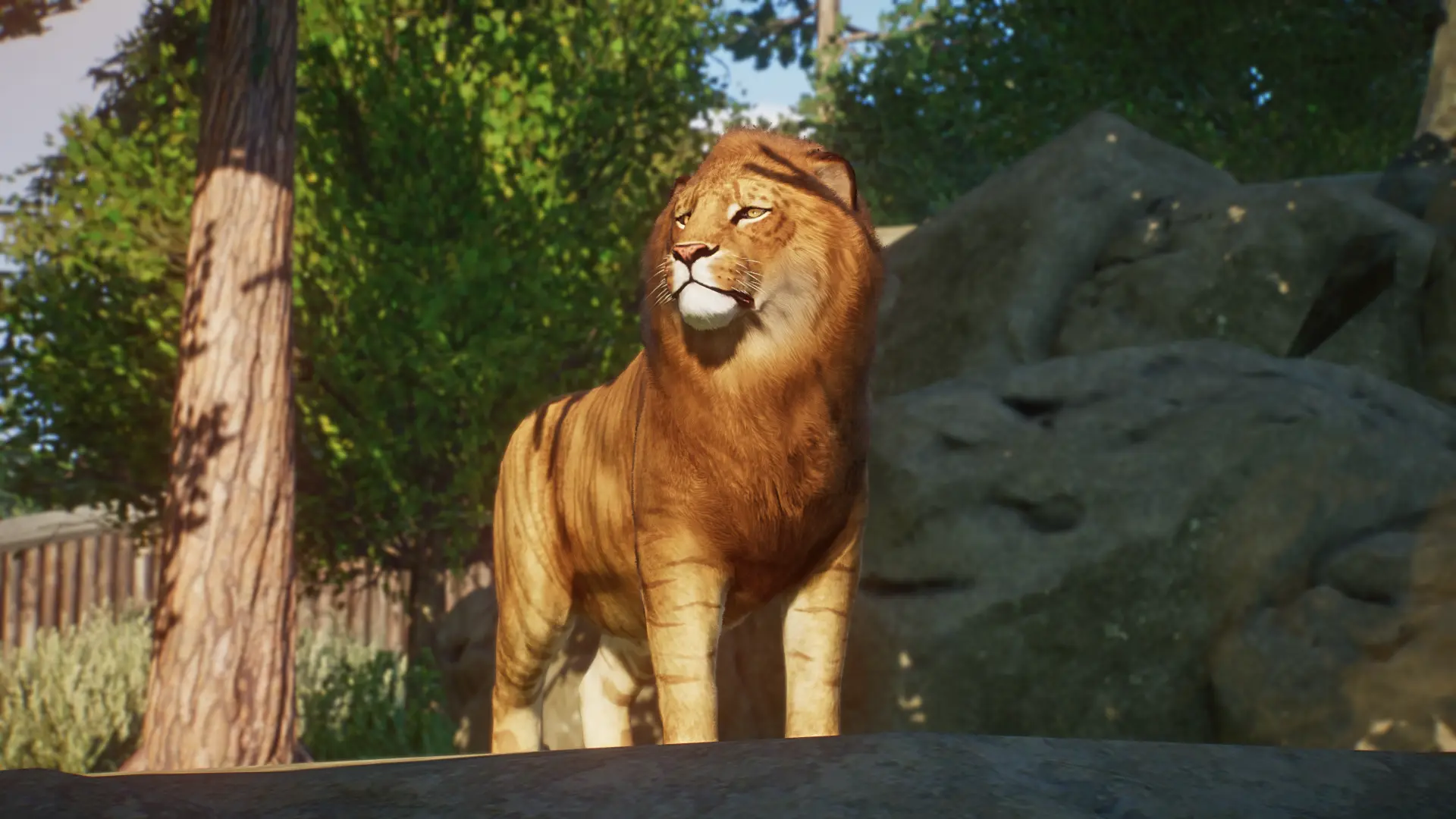 Liger - New Species (1.15) at Planet Zoo Nexus - Mods and community