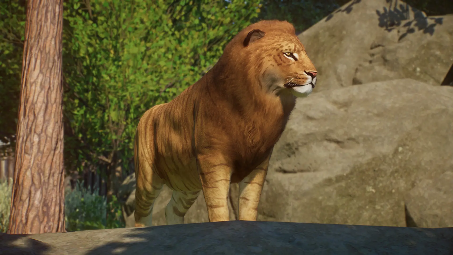 Liger - New Species (1.15) at Planet Zoo Nexus - Mods and community