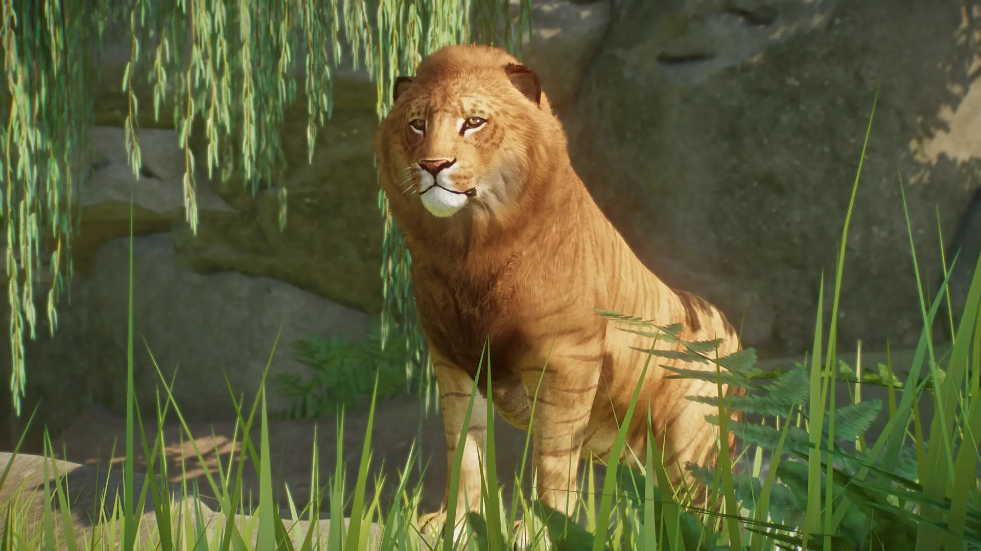 Liger - New Species (1.15) At Planet Zoo Nexus - Mods And Community