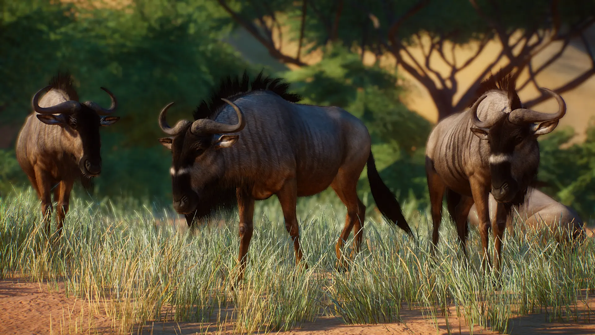 Nyassa Wildebeest - New Species (1.14) at Planet Zoo Nexus - Mods and ...