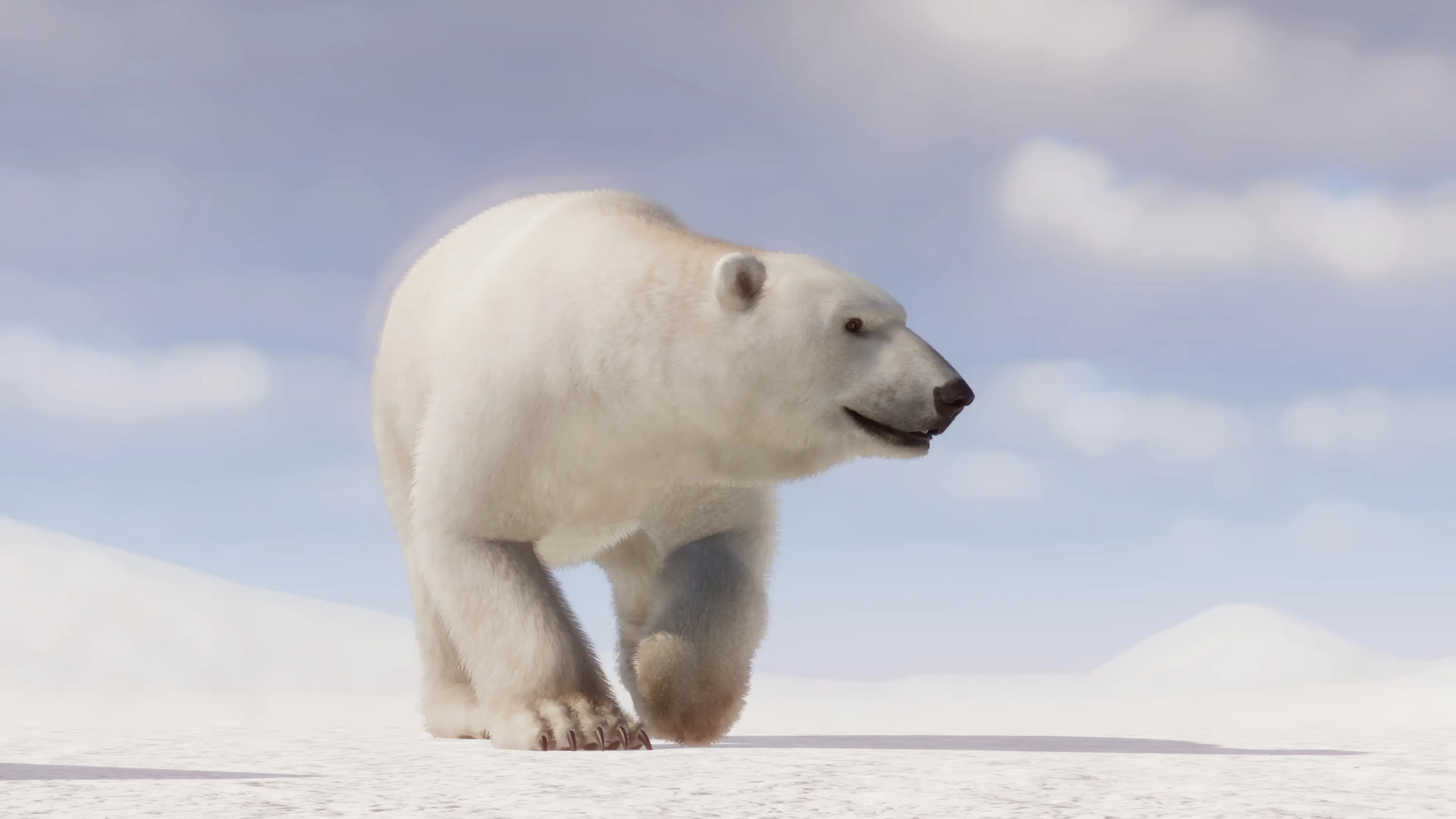 Polar Bear Remaster and New Variants (1.16) at Planet Zoo Nexus - Mods ...