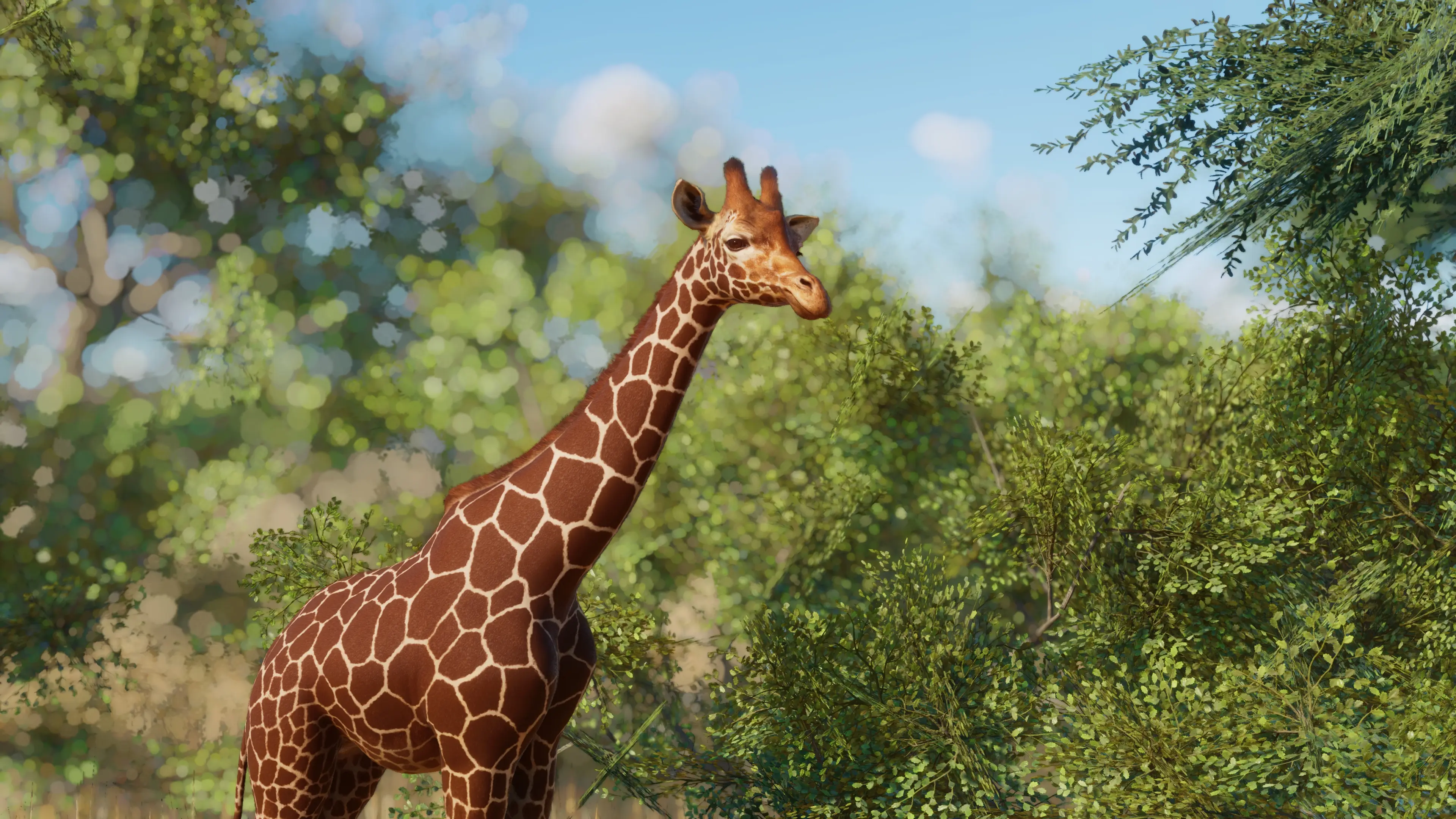 Reticulated Giraffe Remaster (1.15) at Planet Zoo Nexus - Mods and ...