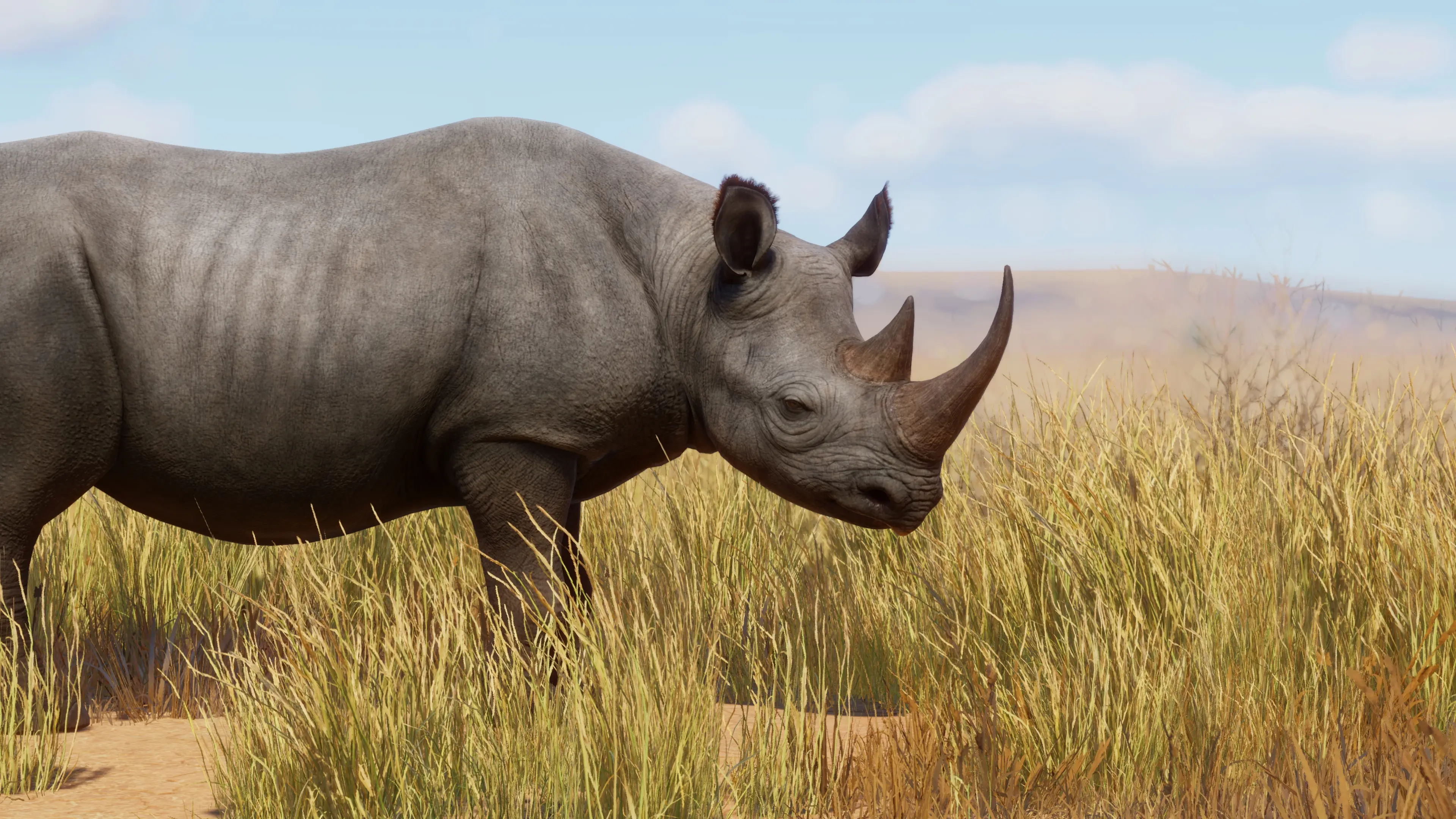 Black Rhino Remaster (1.16) at Planet Zoo Nexus - Mods and community