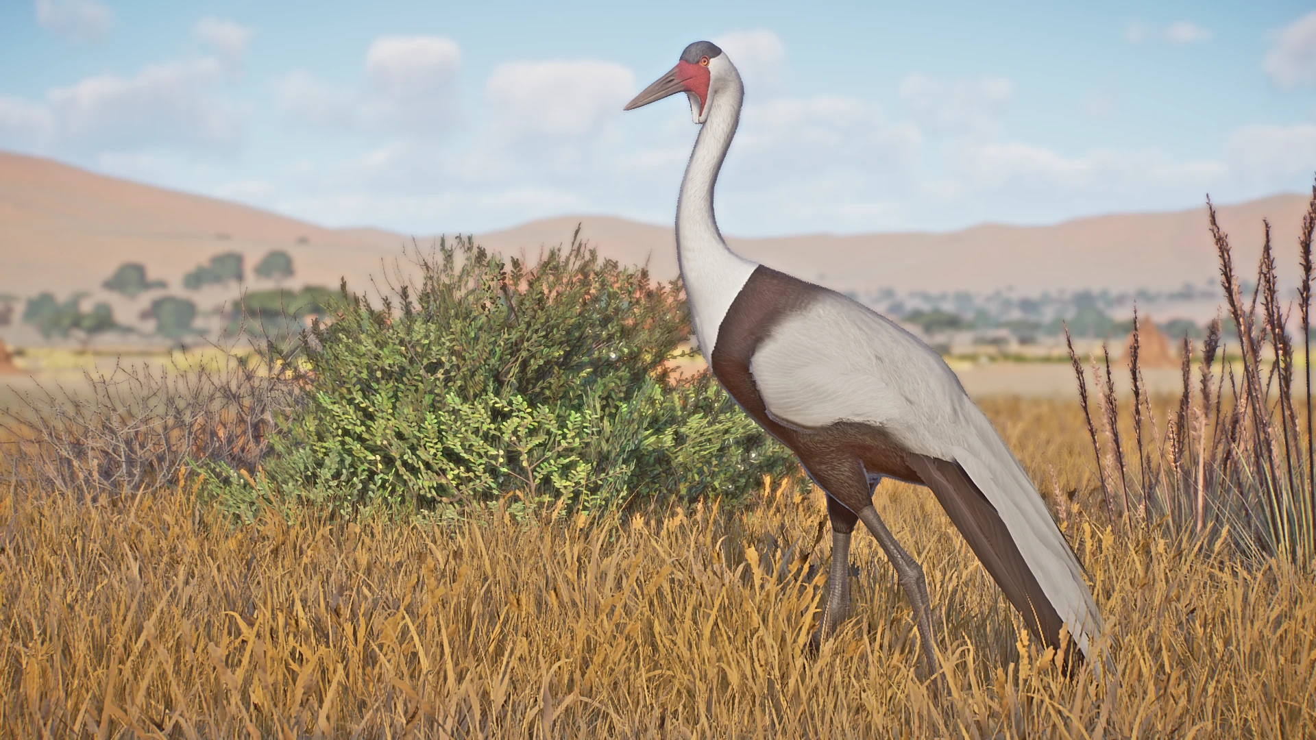 Wattled Crane - New Species (1.16) at Planet Zoo Nexus - Mods and community