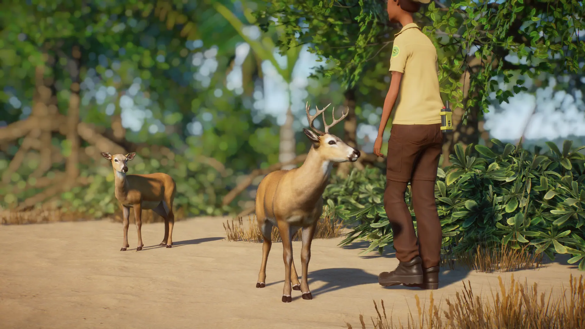 Key Deer - New Species (1.16) at Planet Zoo Nexus - Mods and community