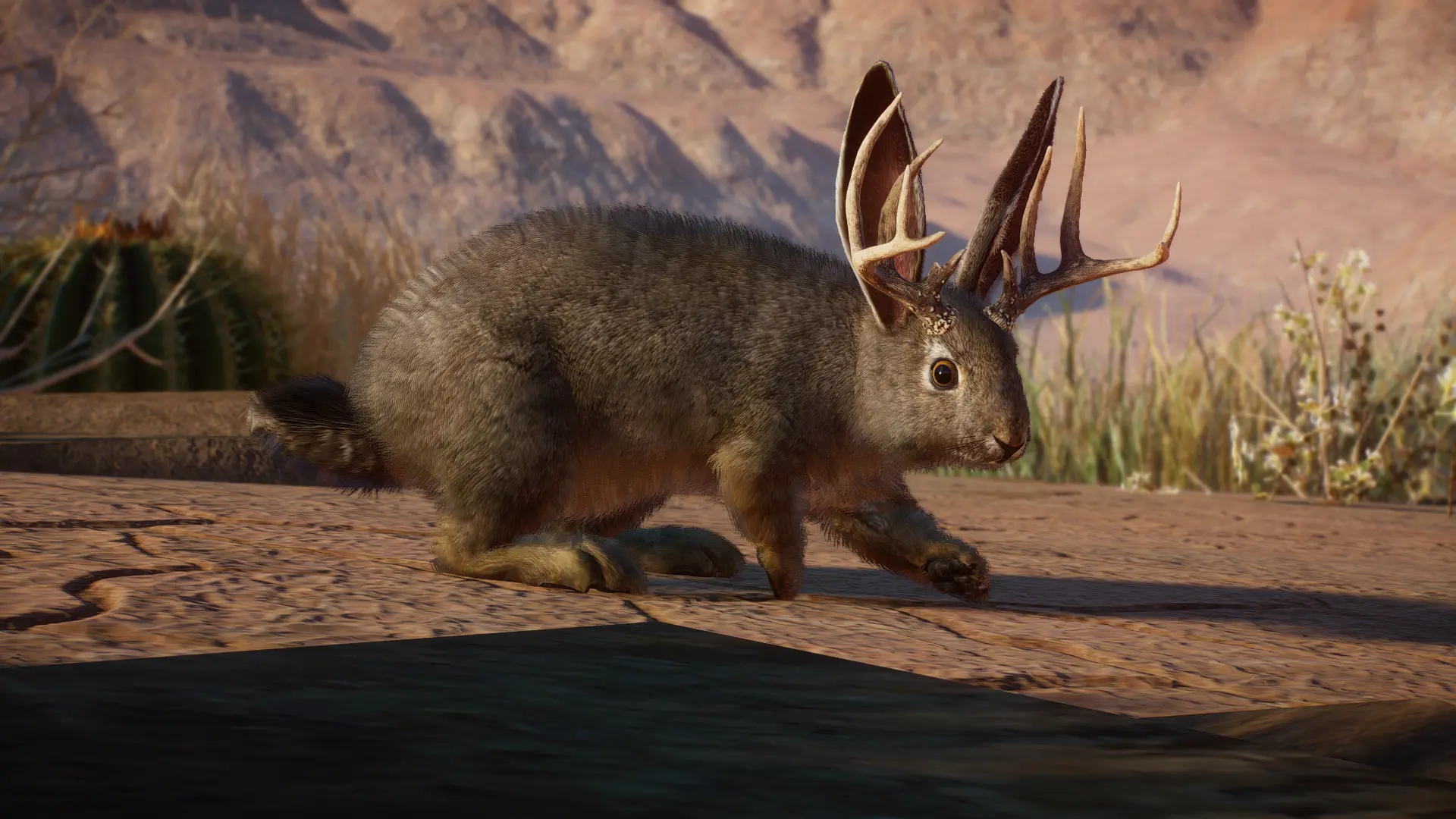 Jackalope - New Species (1.16) at Planet Zoo Nexus - Mods and community