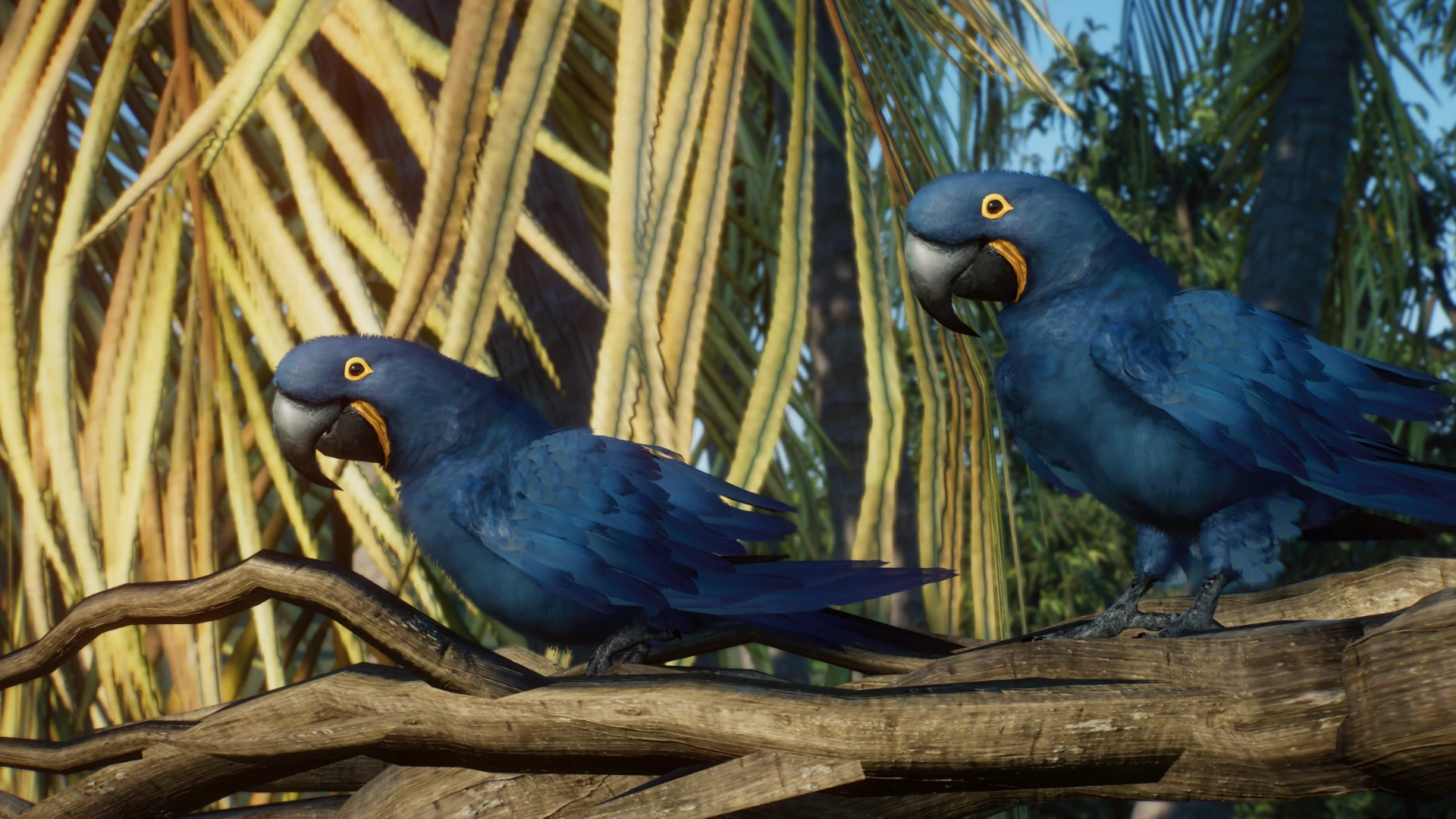 Hyacinth Macaw - New Species (1.16) at Planet Zoo Nexus - Mods and ...