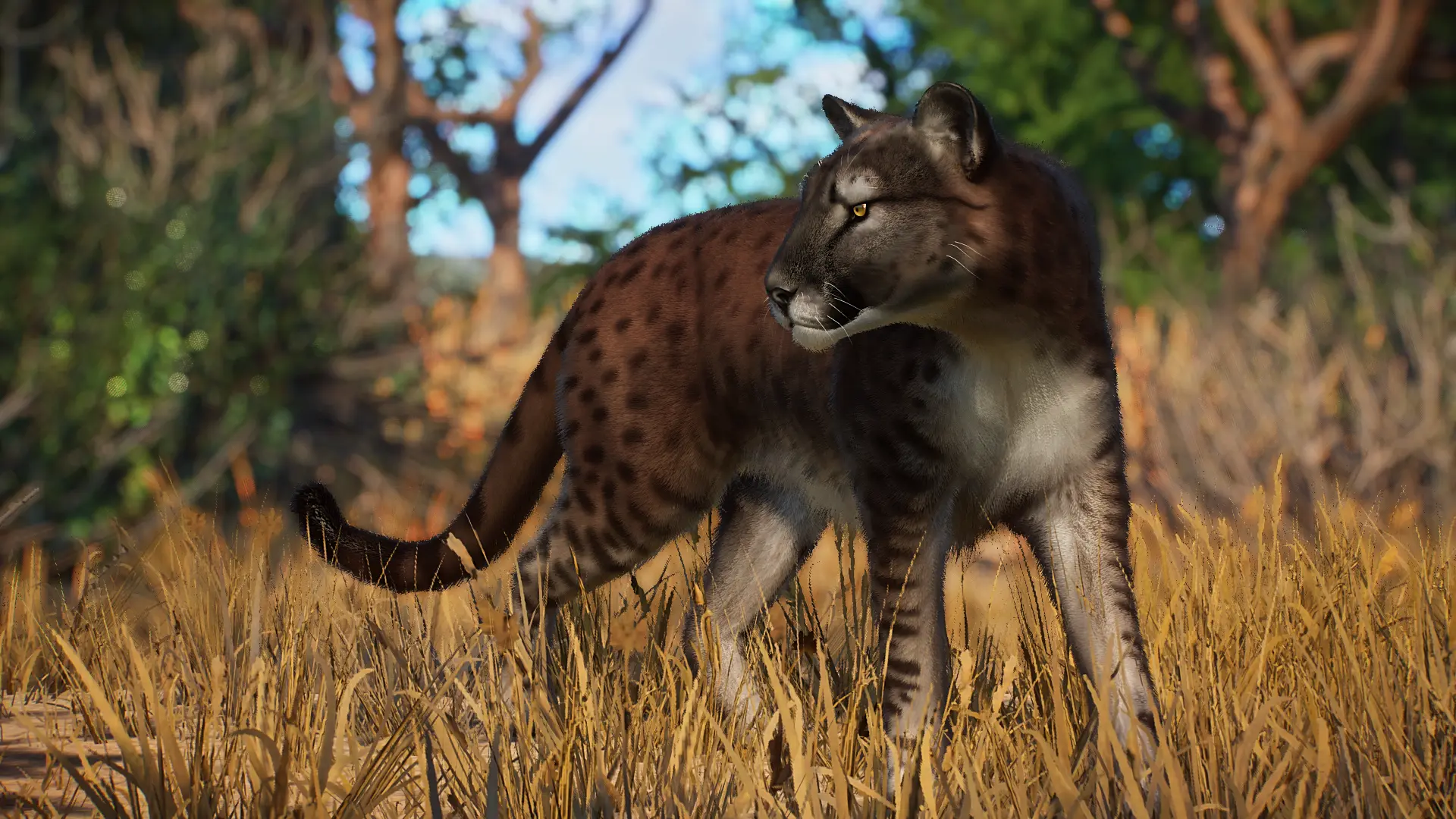 American Cheetah - New Extinct Species (1.16) at Planet Zoo Nexus ...