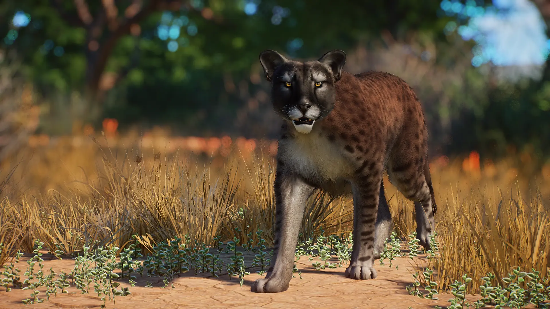 American Cheetah - New Extinct Species (1.16) at Planet Zoo Nexus ...