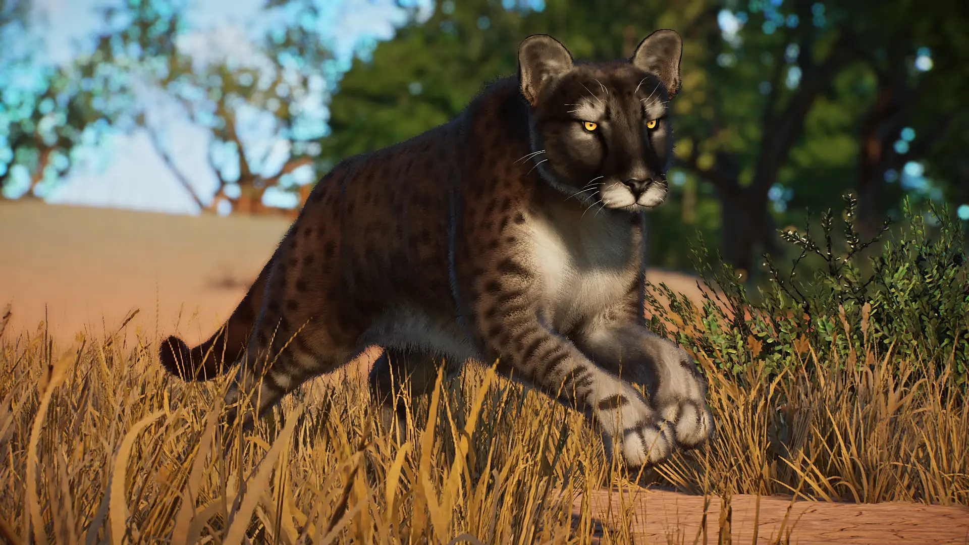 American Cheetah - New Extinct Species (1.16) at Planet Zoo Nexus ...