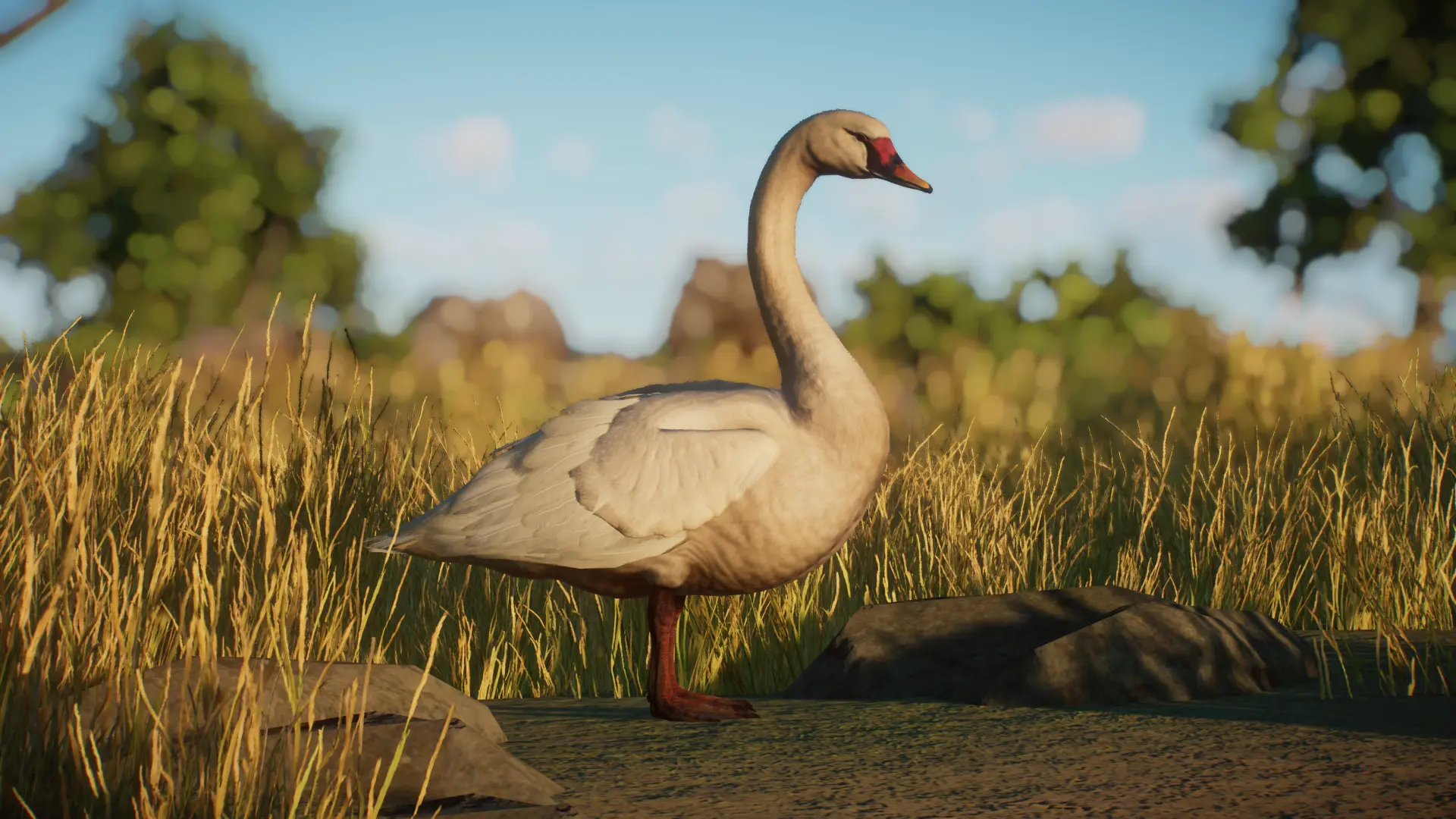 Giant Swan - New Extinct Species (1.16) At Planet Zoo Nexus - Mods And 