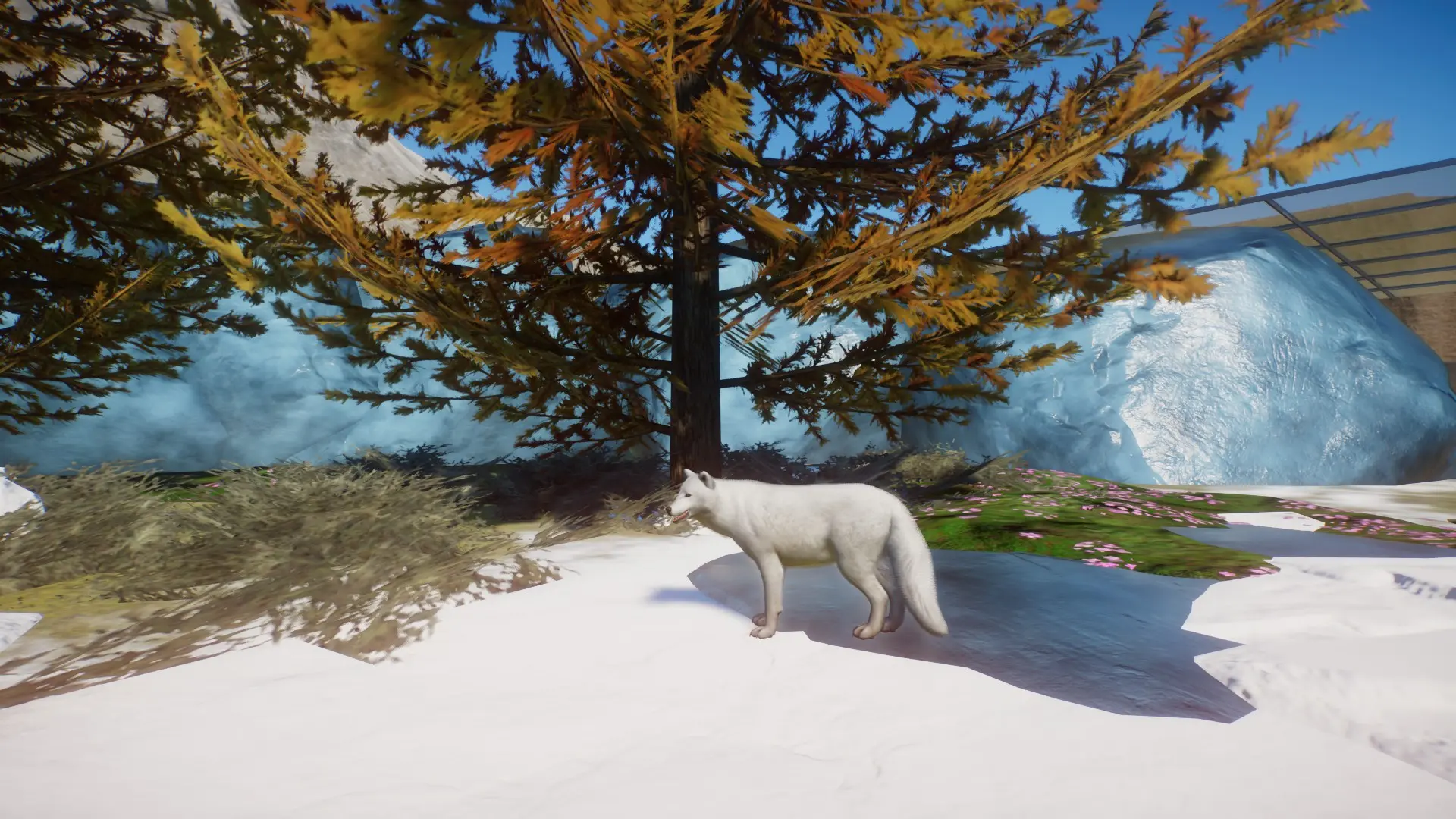 Arctic Fox at Planet Zoo Nexus - Mods and community