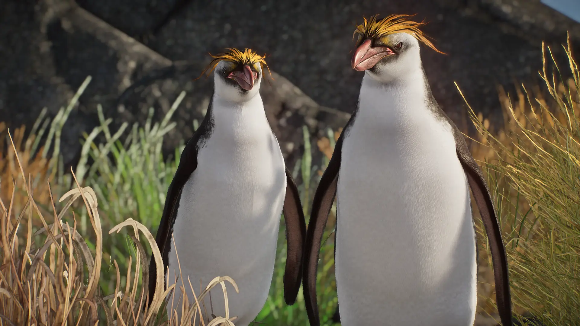 Royal Penguin - New Species (1.16) at Planet Zoo Nexus - Mods and community