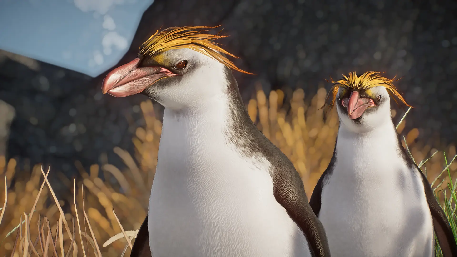 Royal Penguin - New Species (1.16) at Planet Zoo Nexus - Mods and community