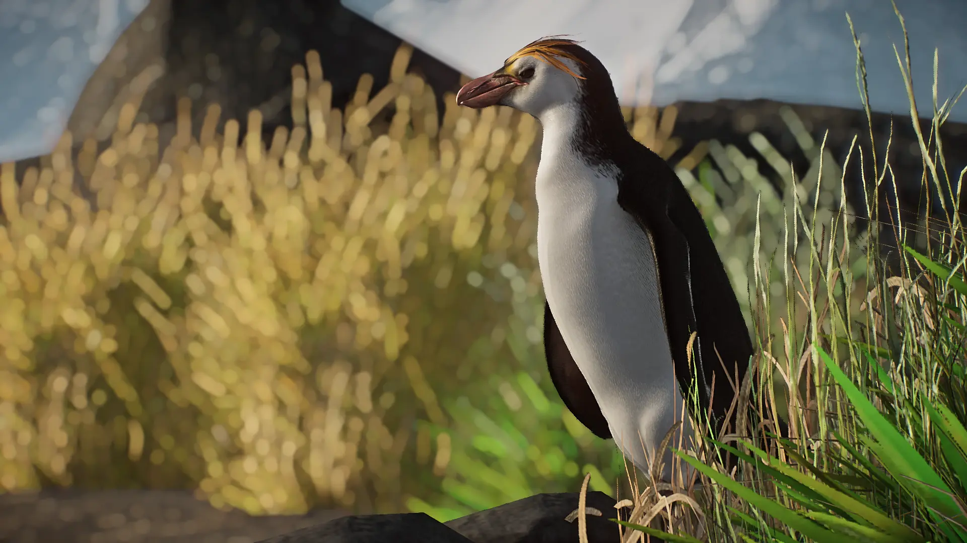 Royal Penguin - New Species (1.16) at Planet Zoo Nexus - Mods and community