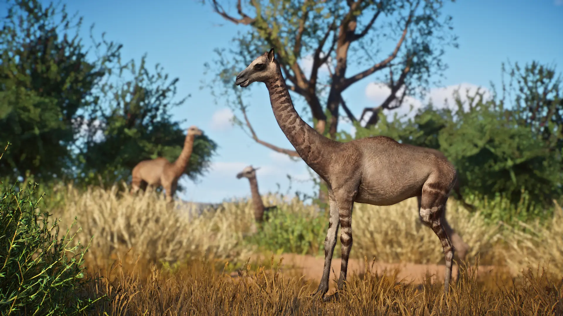 Oxydactylus Longipes - New Extinct Species (1.17) at Planet Zoo Nexus ...