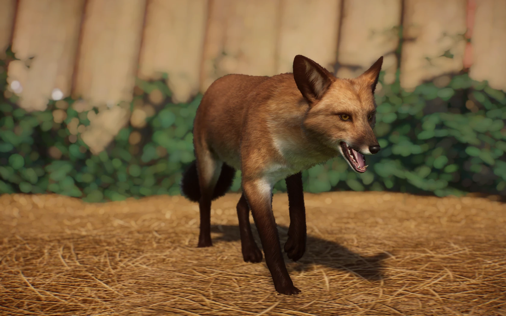 (1.5) New Species - Tosca's Red Fox at Planet Zoo Nexus - Mods and