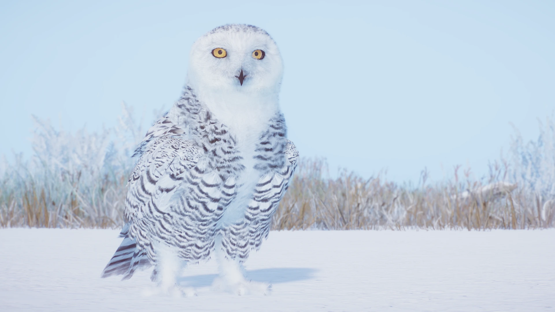 希少/世界限定200点 HEREND/ヘレンド Snowy Owl/スノーウィー