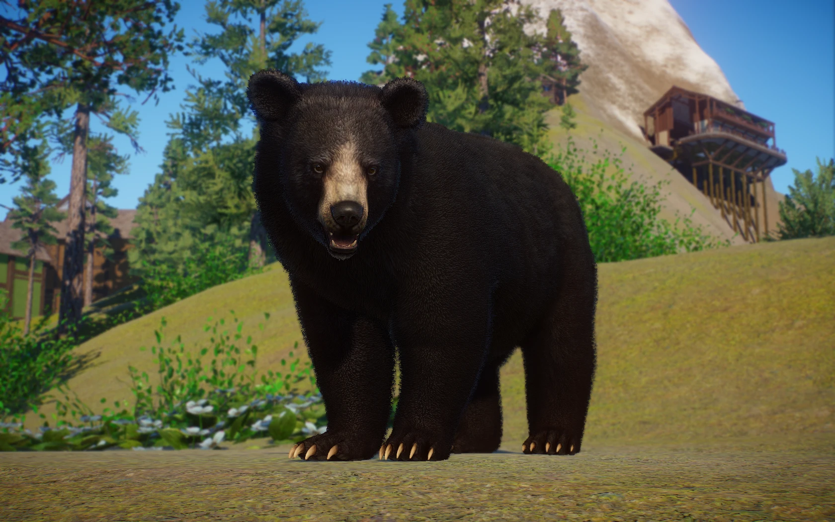 American Black Bear - New Species (1.10) At Planet Zoo Nexus - Mods And 