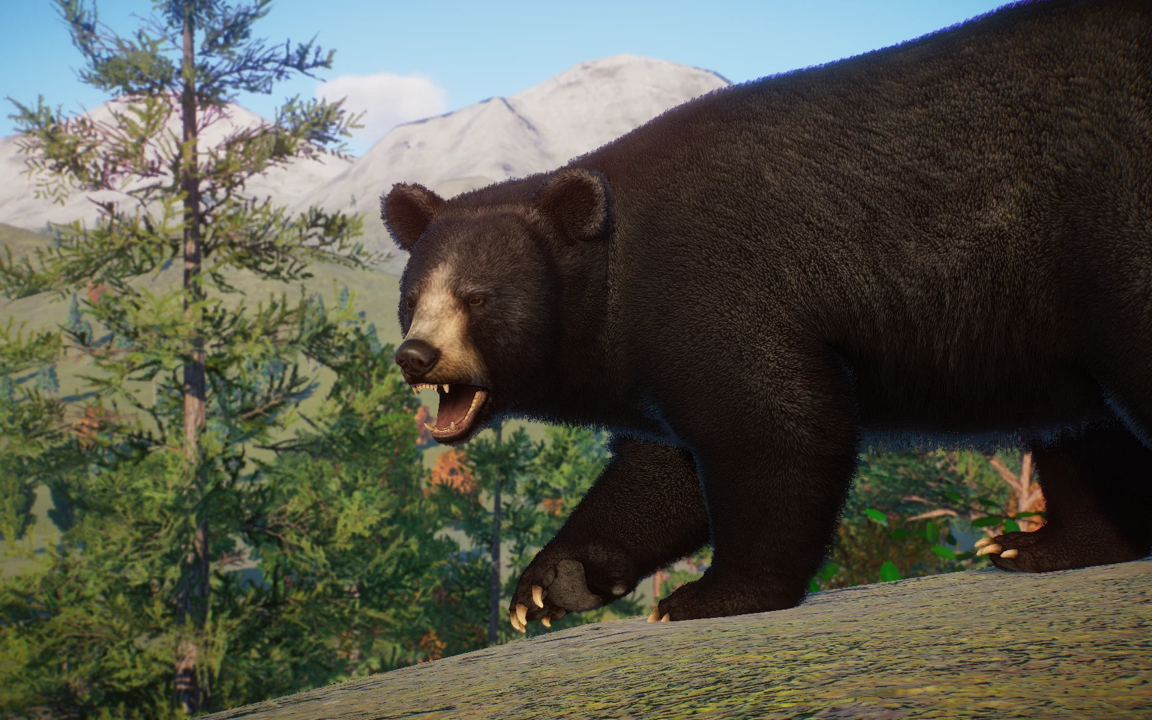 American Black Bear - New Species (1.10) at Planet Zoo Nexus - Mods and ...