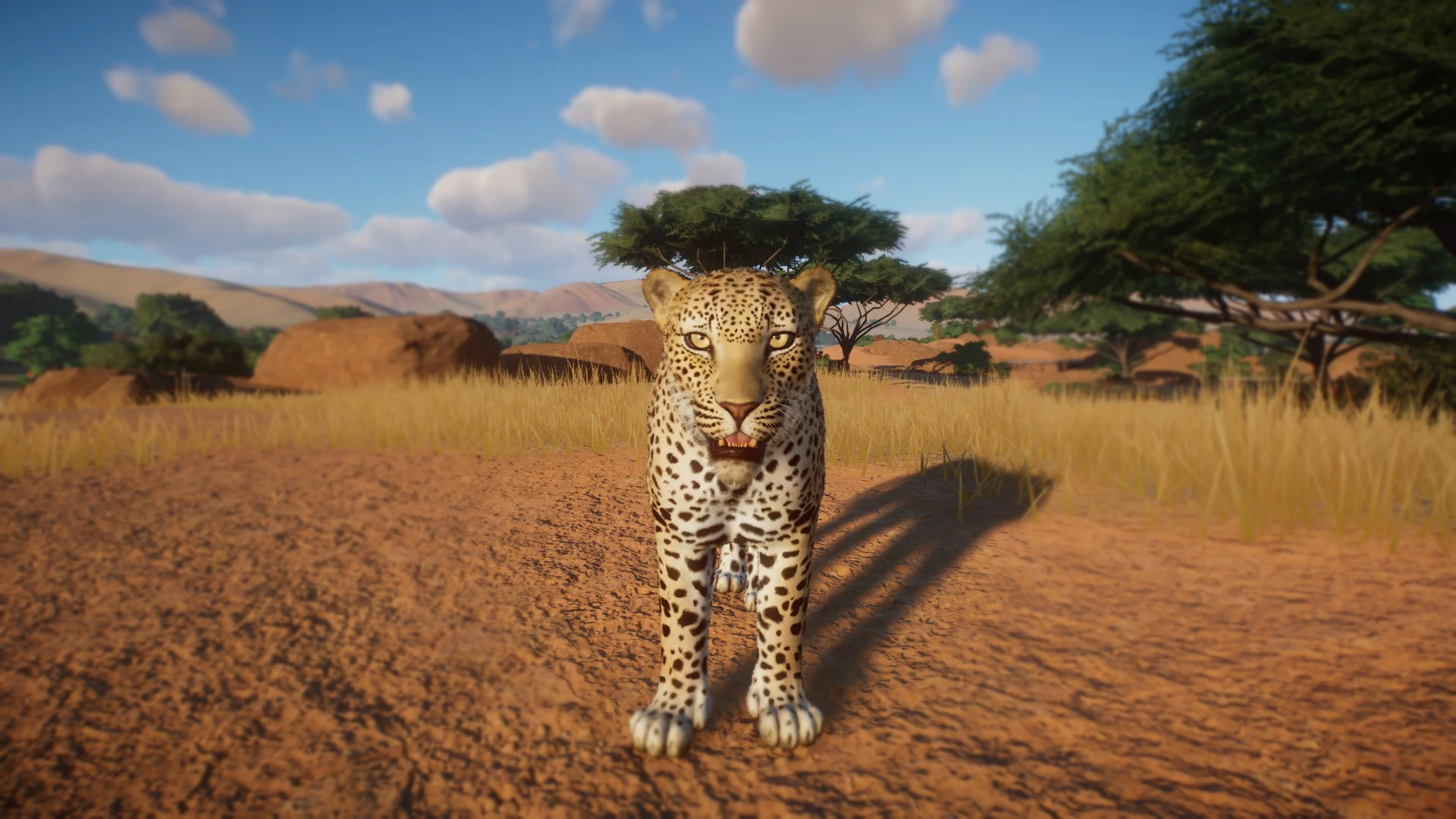 African Leopard - New Species at Planet Zoo Nexus - Mods and community