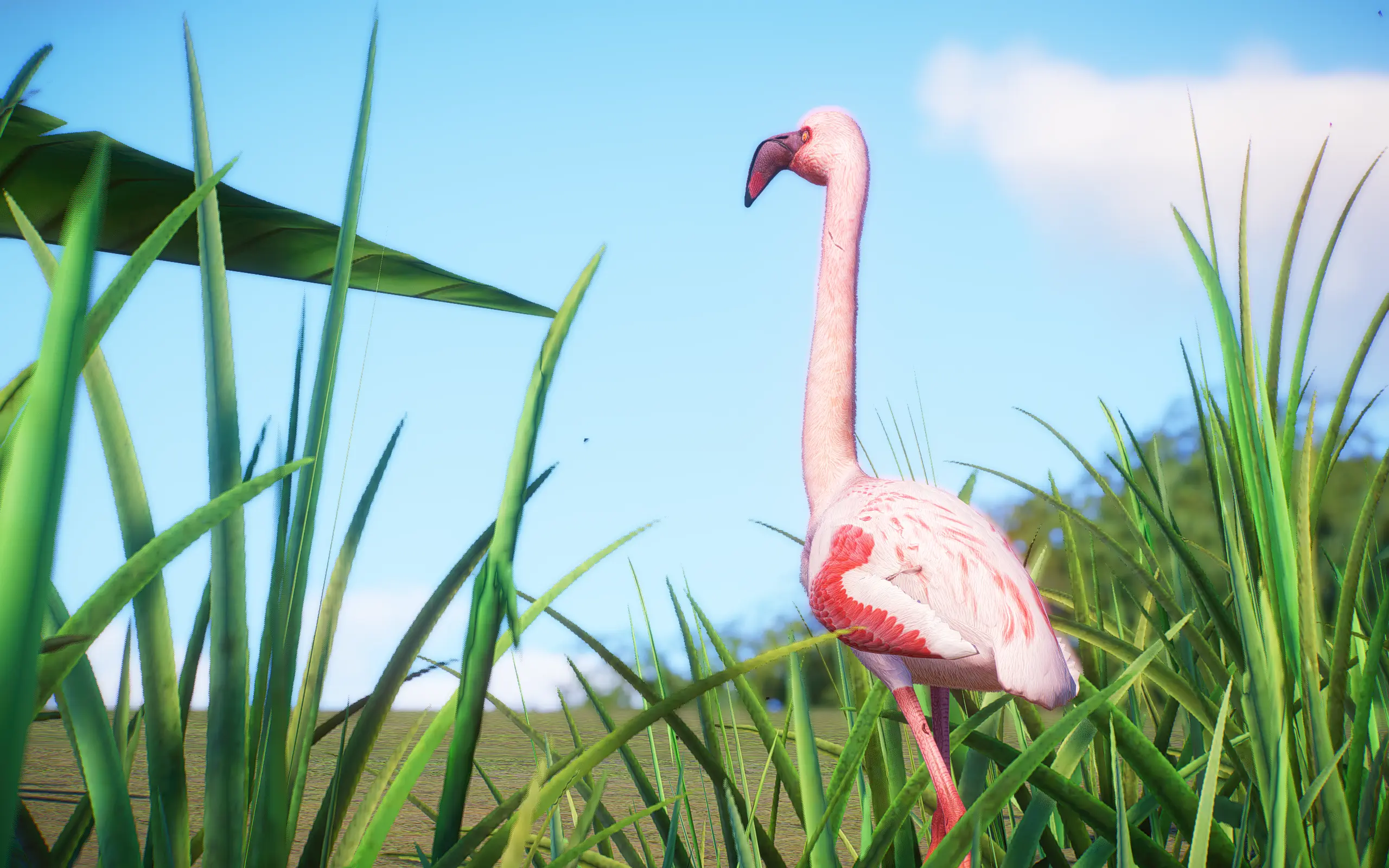 Lesser Flamingo - New Species (1.16) at Planet Zoo Nexus - Mods and ...