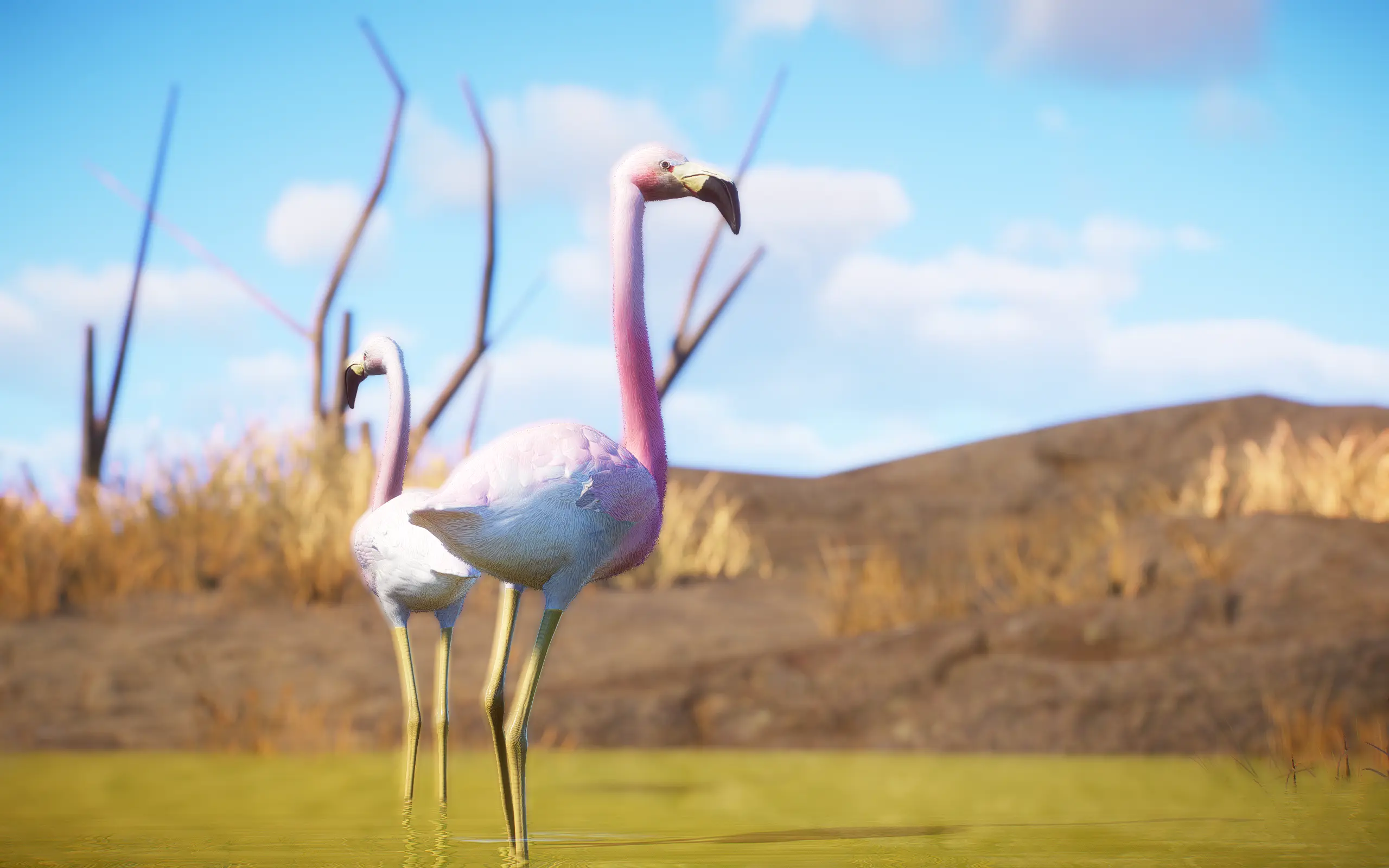 Flamingo Pack - Props And Animals (1.16) At Planet Zoo Nexus - Mods And 