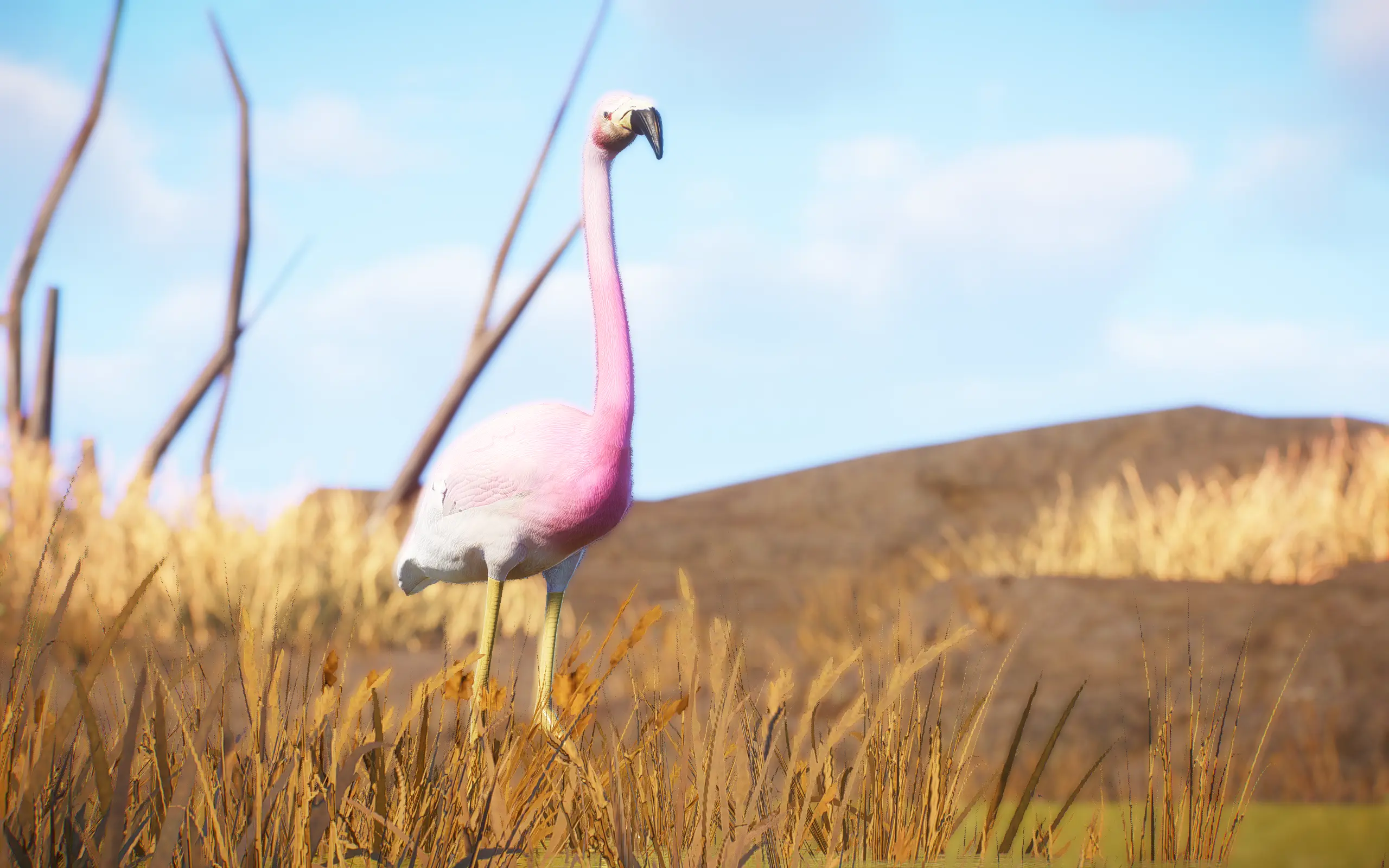 Flamingo Pack - Props and Animals (1.16) at Planet Zoo Nexus - Mods and ...