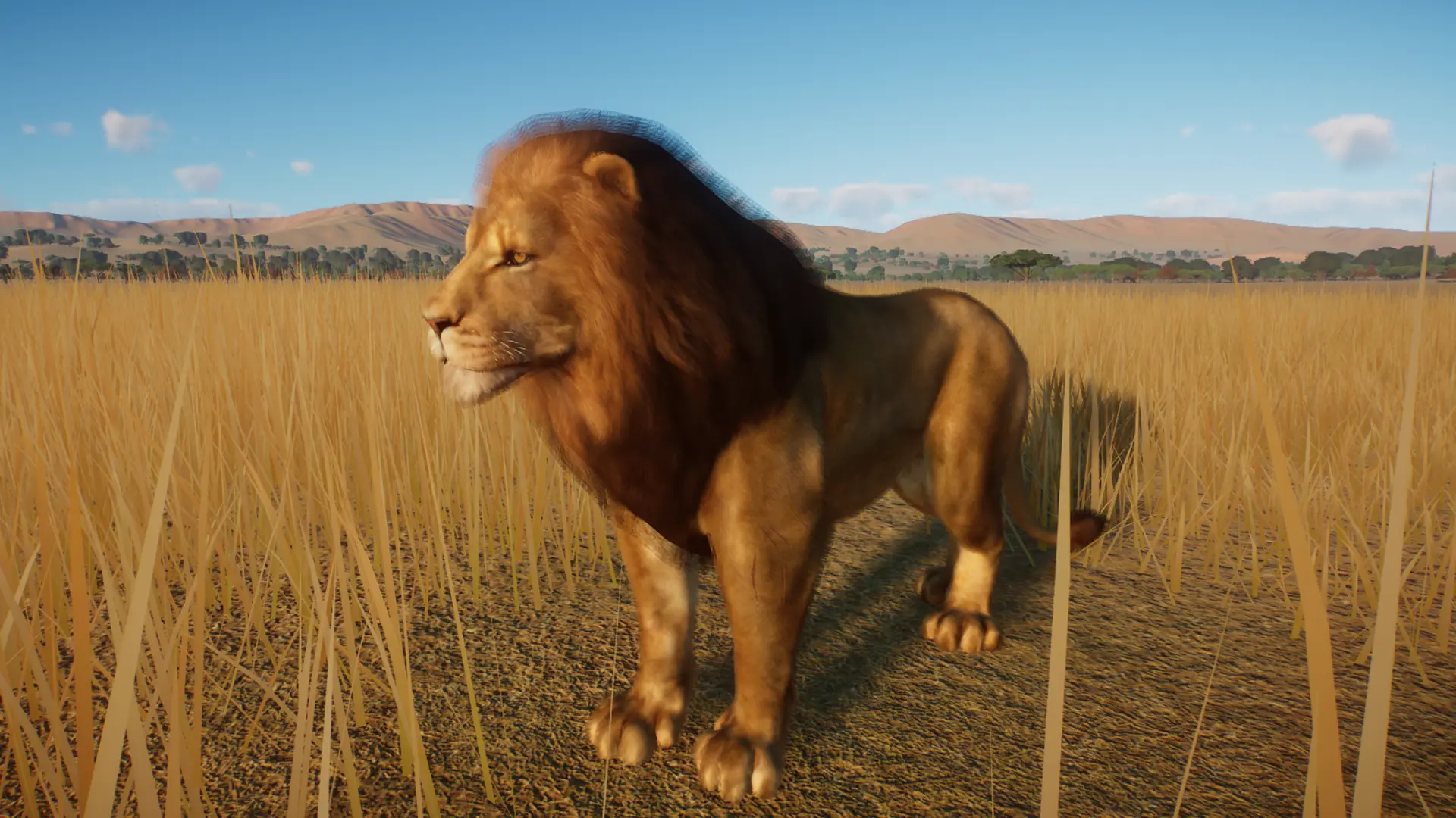 West African Lion Remaster at Planet Zoo Nexus - Mods and community