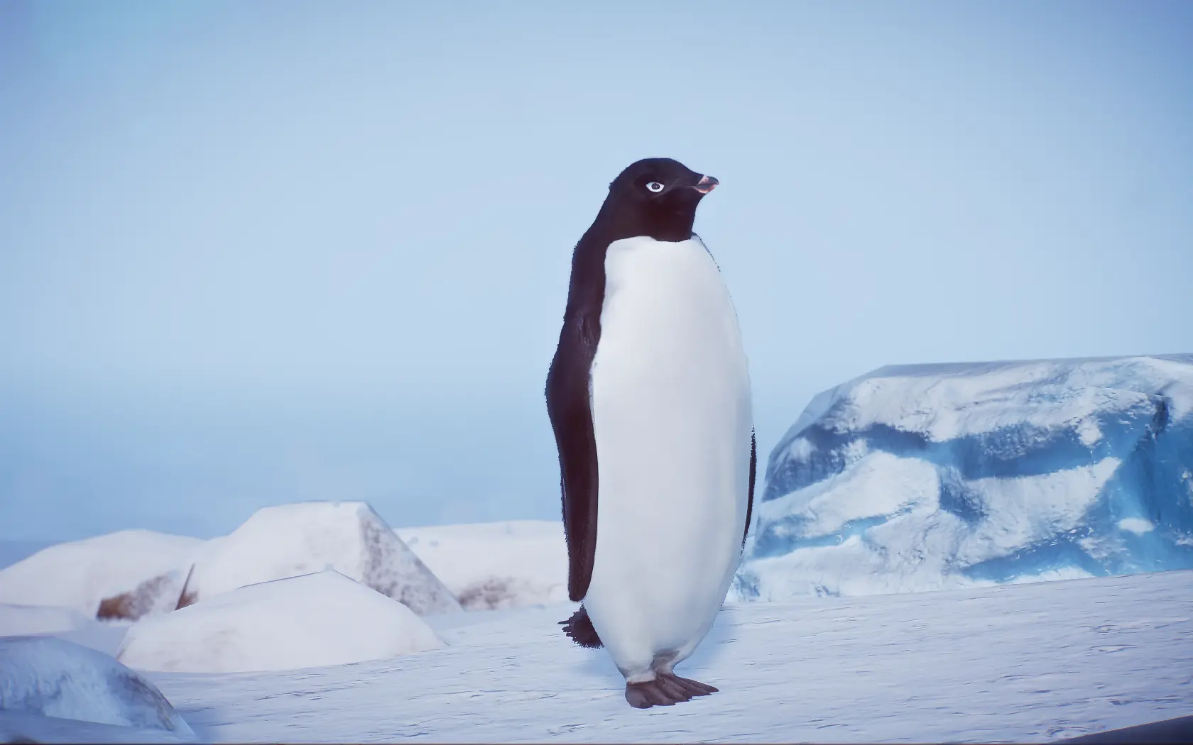 Adelie Penguin - New Species (1.14) at Planet Zoo Nexus - Mods and ...